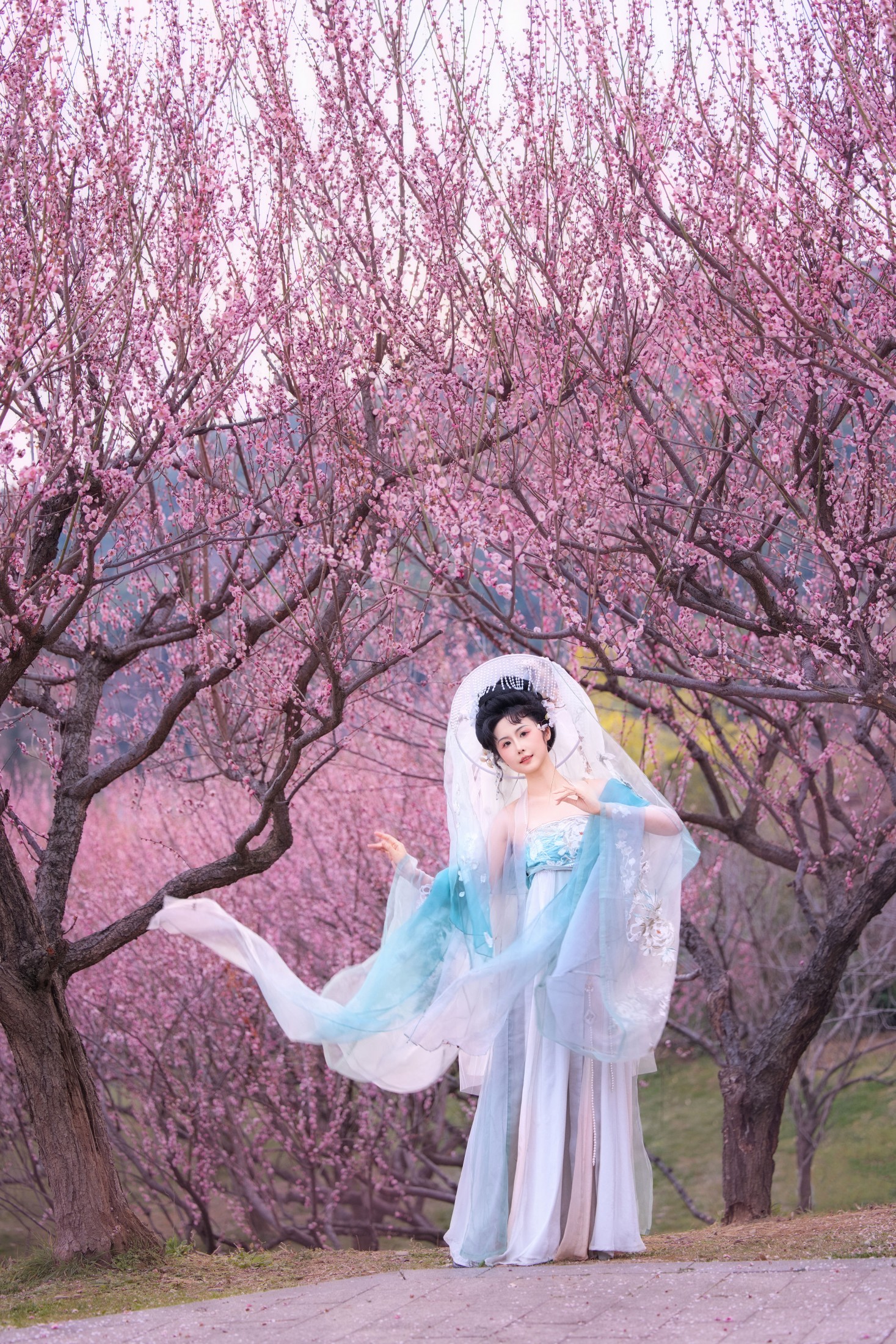 橘芙芙 - 《插画风｜梅花》[10P]