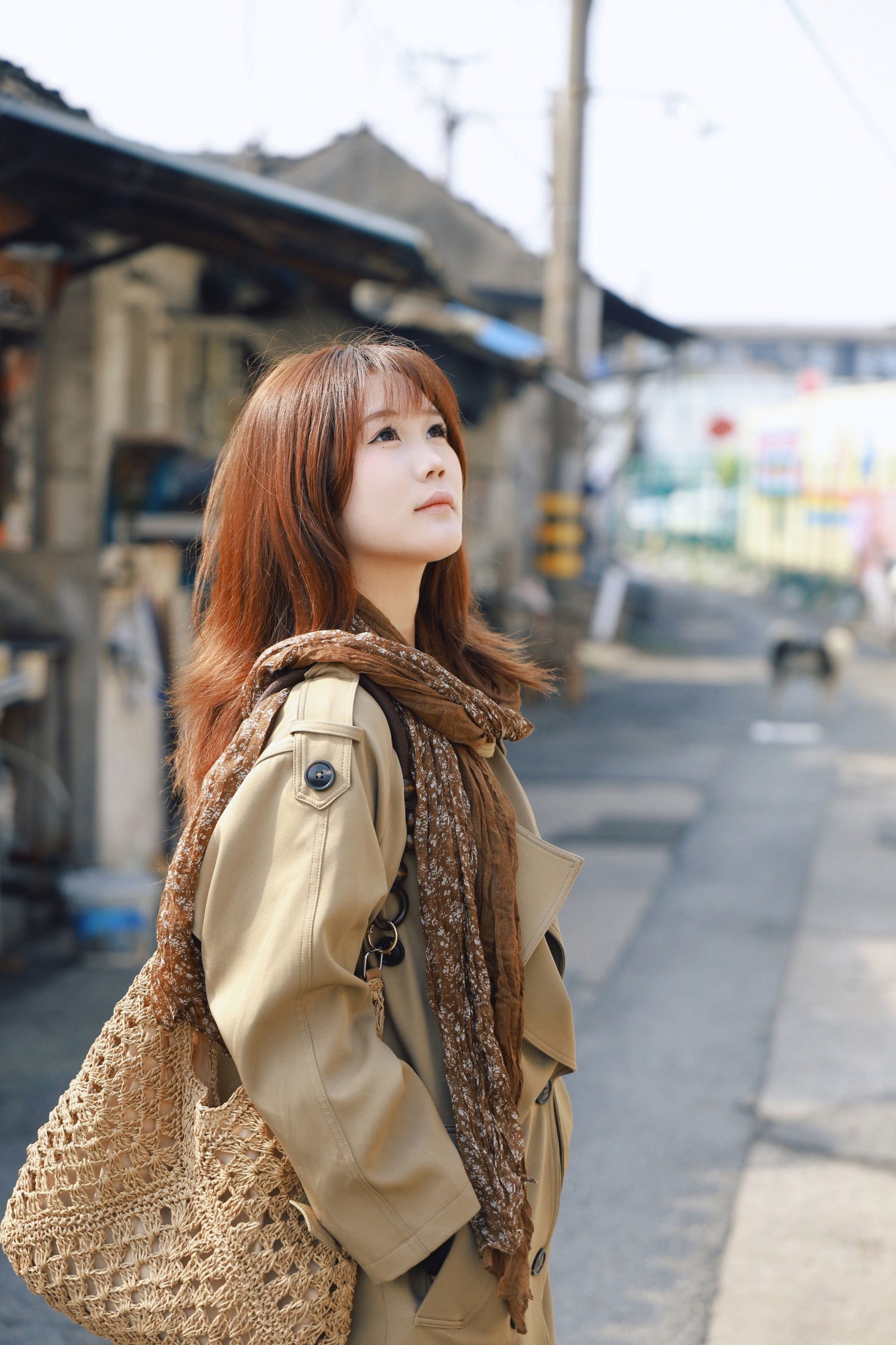 《冬去春来》[45P]