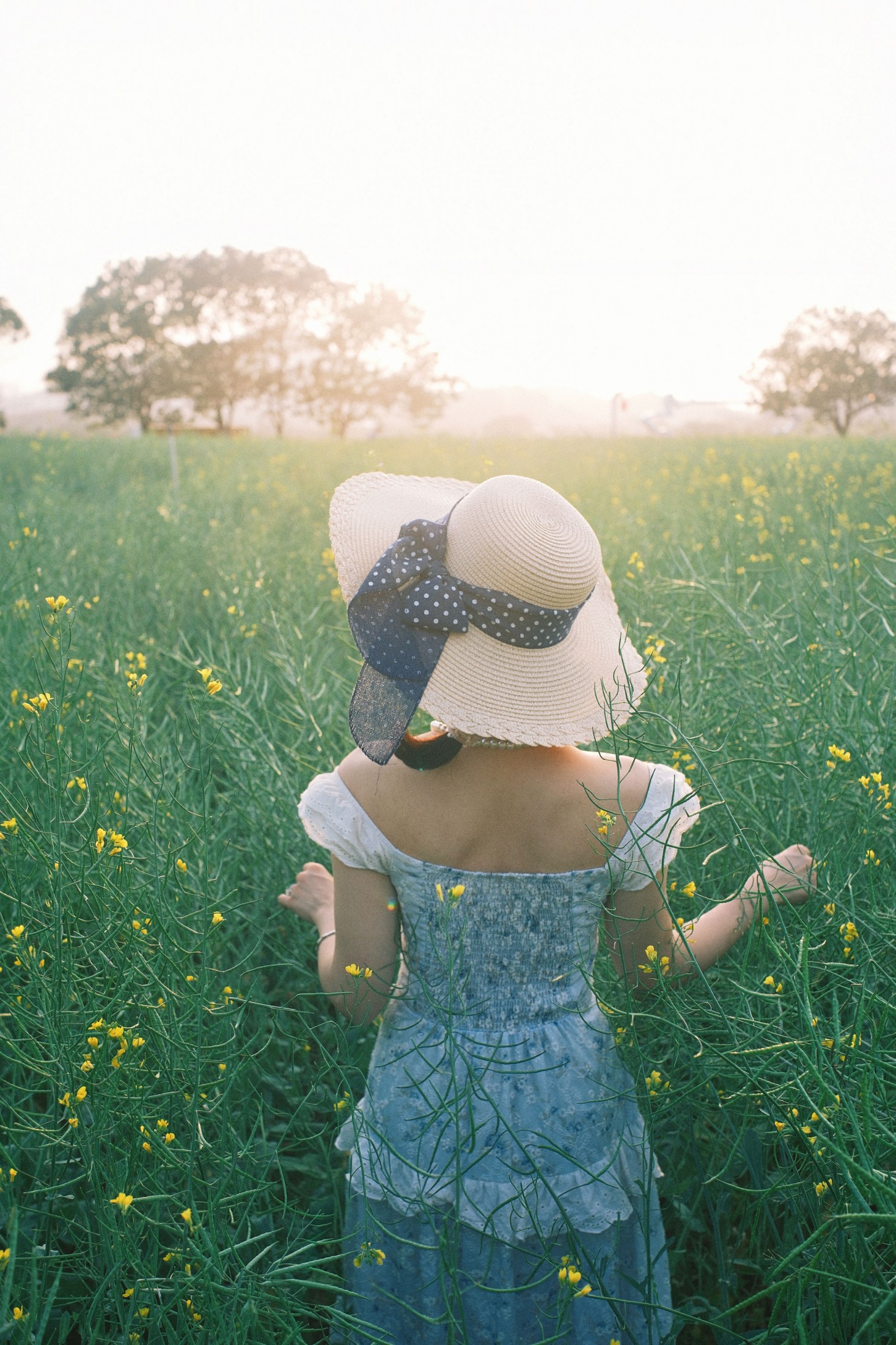 波米儿 - 《春日油菜花之二》[11P]