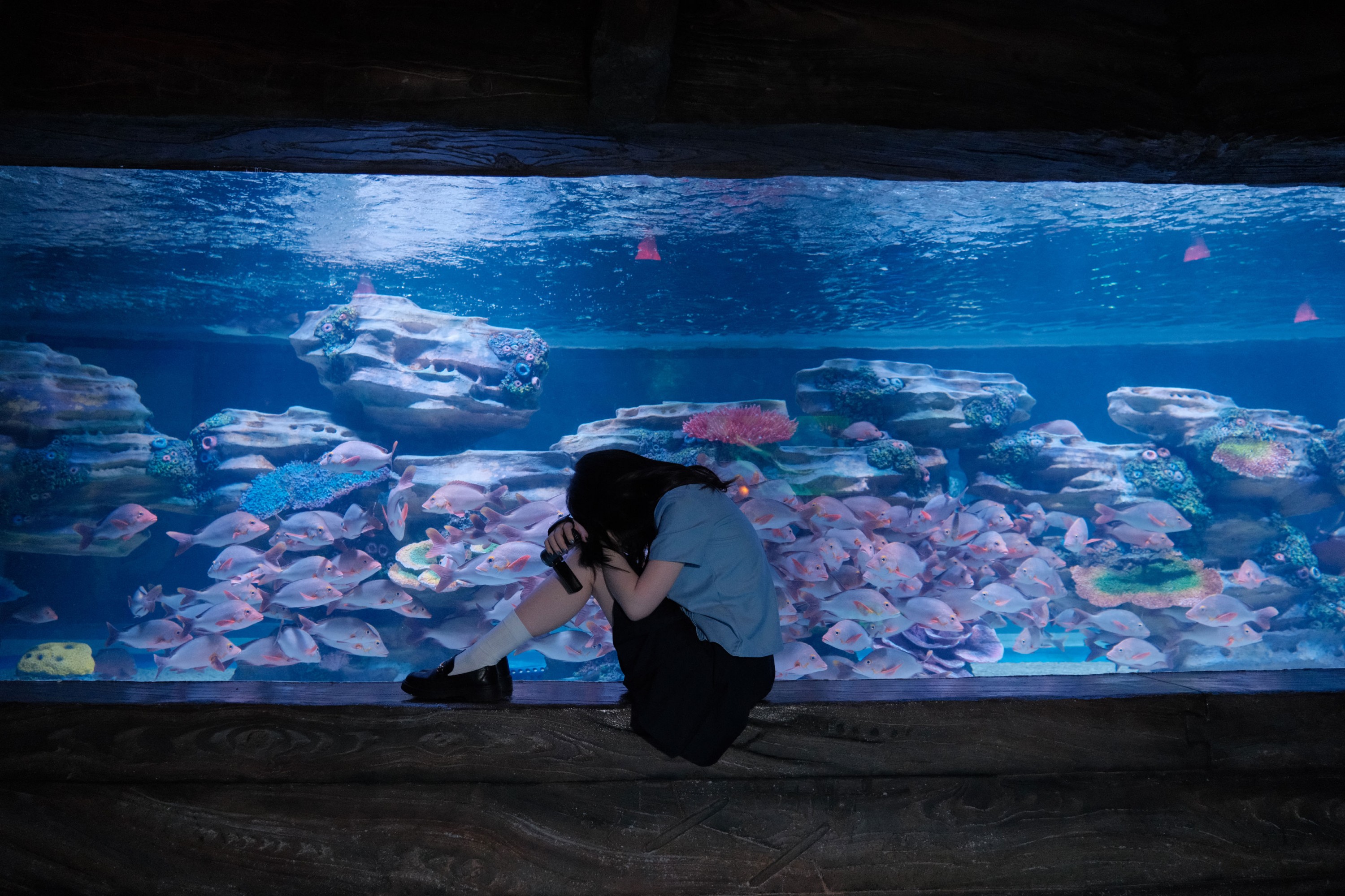 西柚子 - 《海底世界jk》[26P]