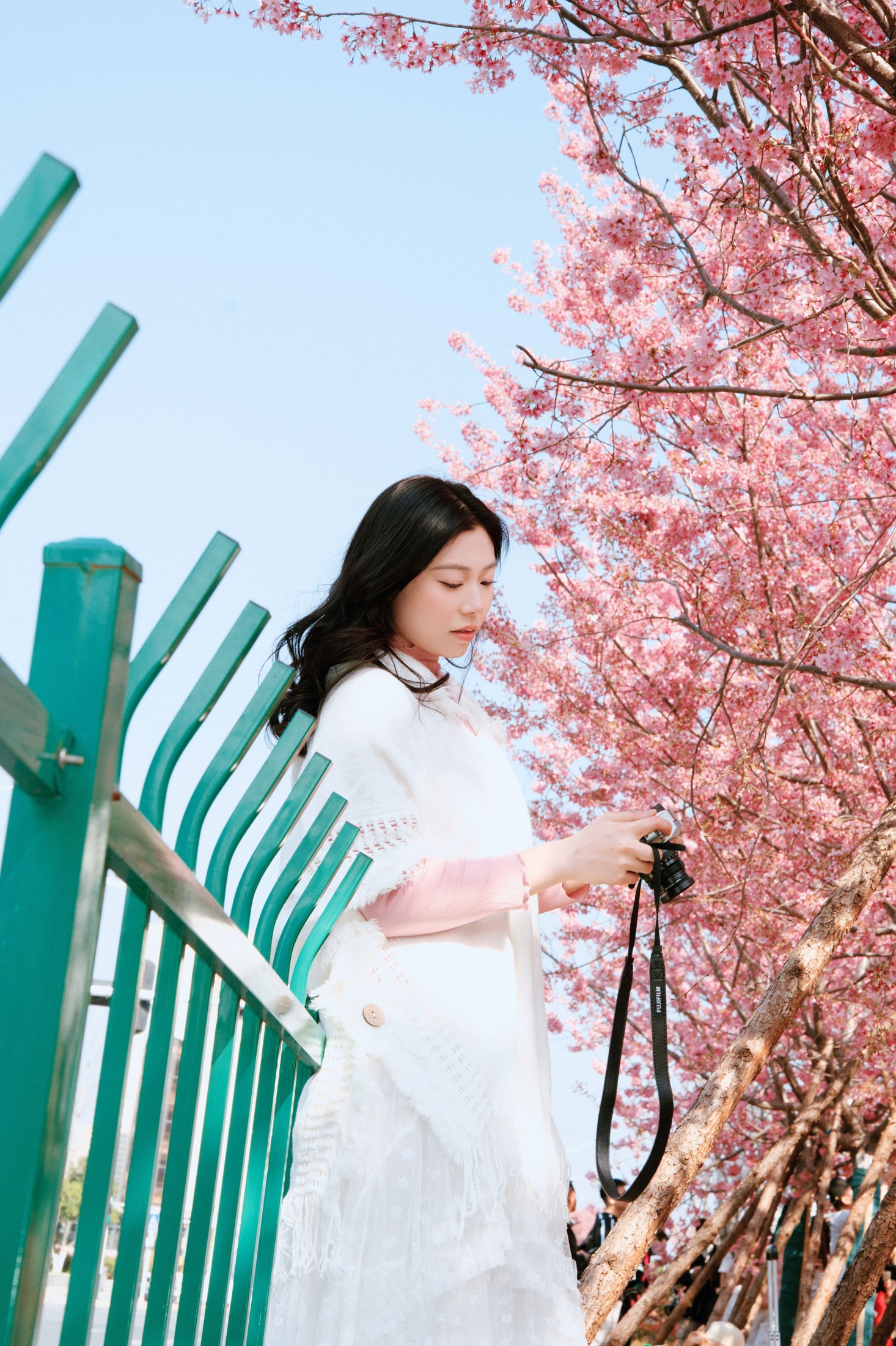 《樱花赴春日》[22P]