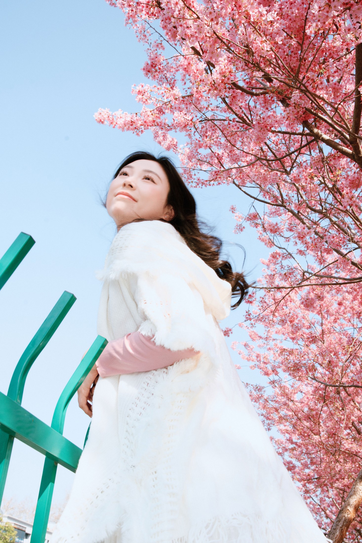 《樱花赴春日》[22P]