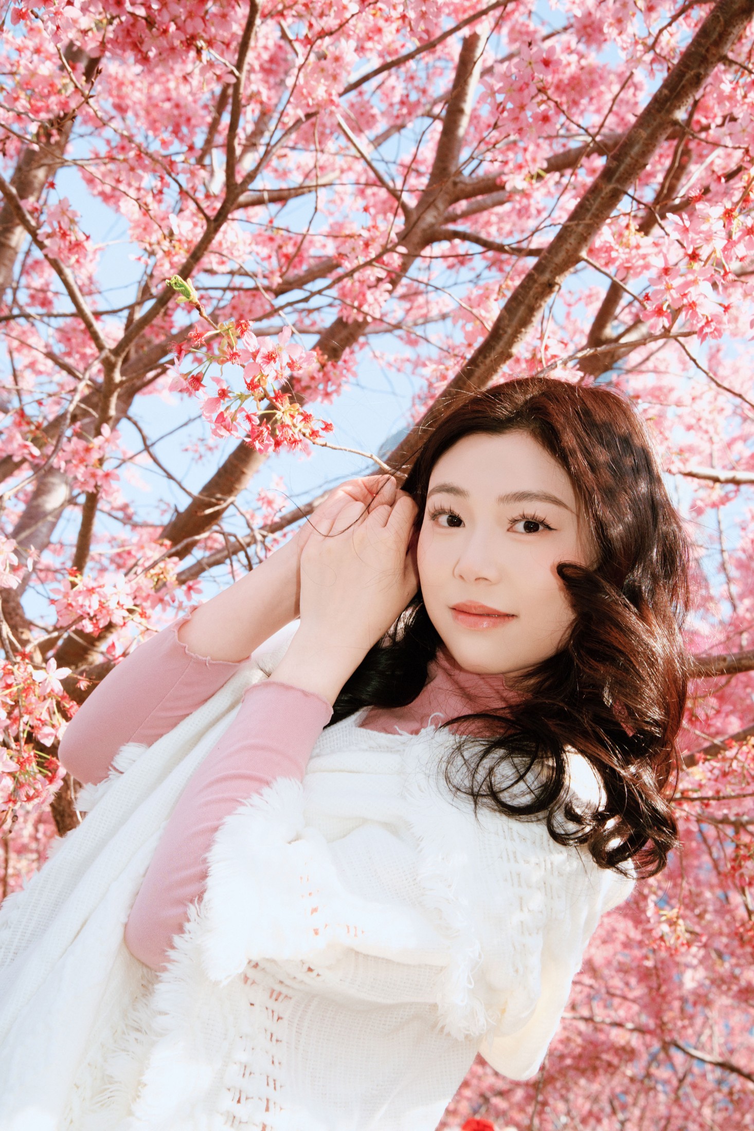 《樱花赴春日》[22P]