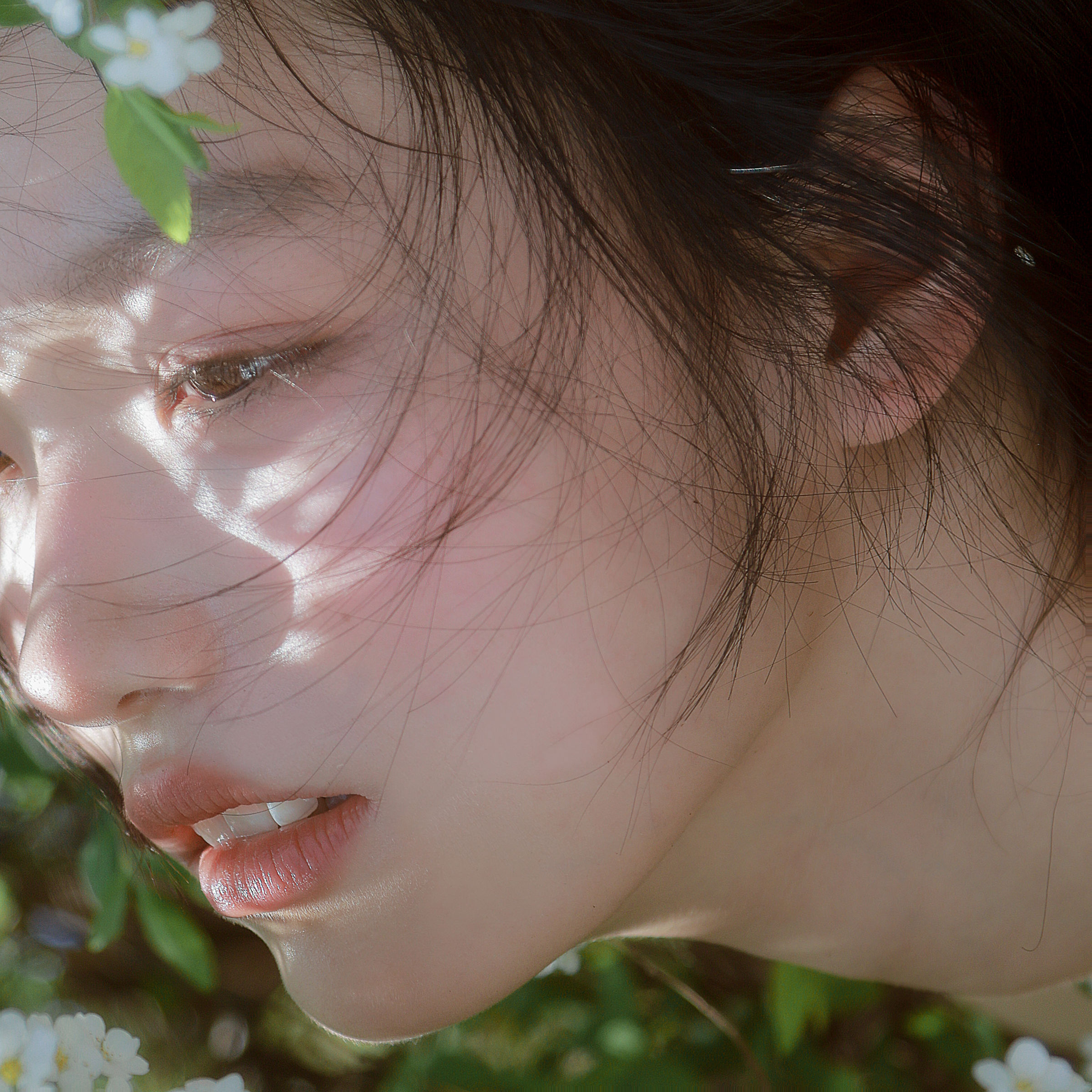 不是酱紫 - 《春雪》[13P]