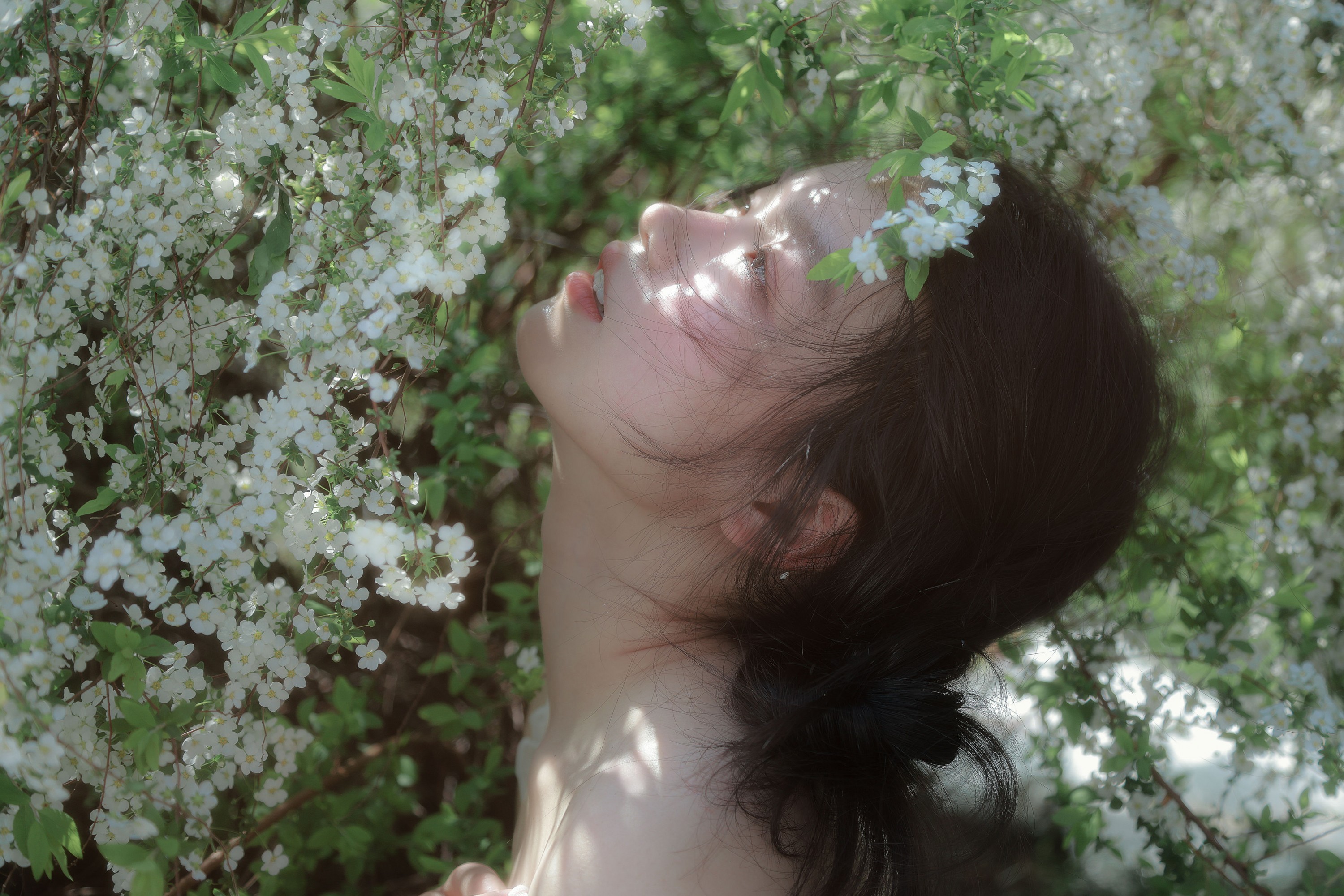 不是酱紫 - 《春雪》[13P]