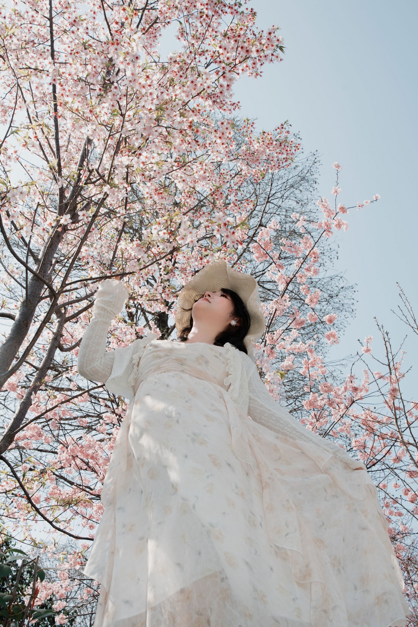 《樱色心动》[24P]