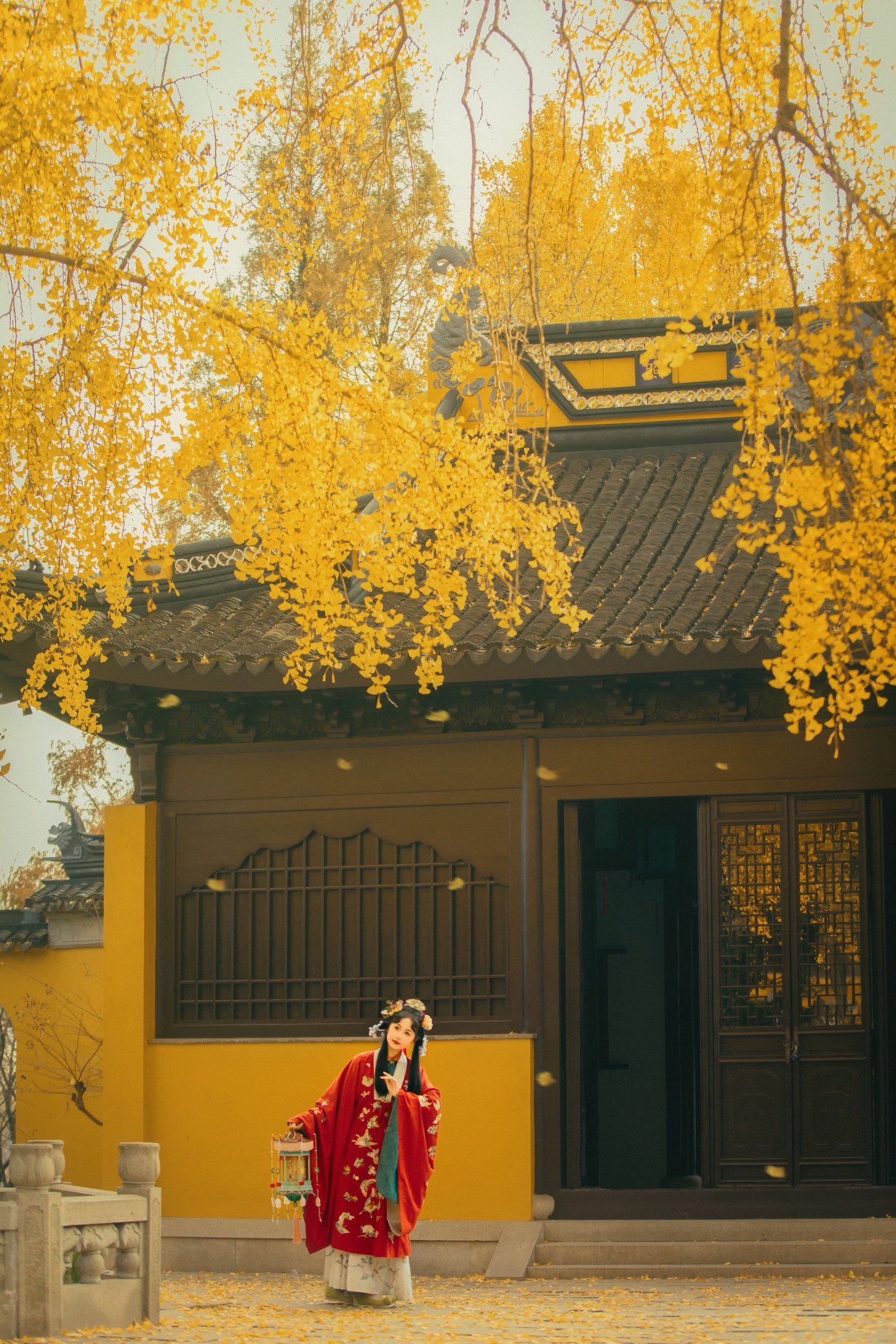 橘芙芙 - 《上方山的银杏》[10P]