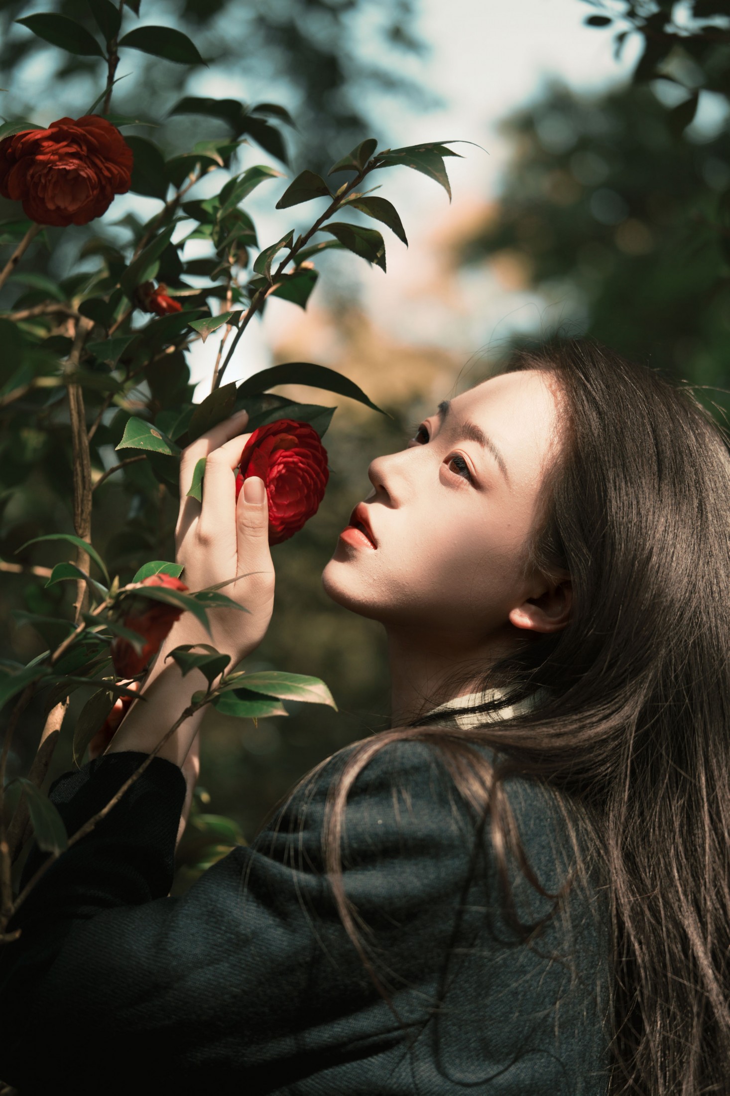 曲清河 - 《当深黑制服的沉静遇上山茶花的热烈》[18P]