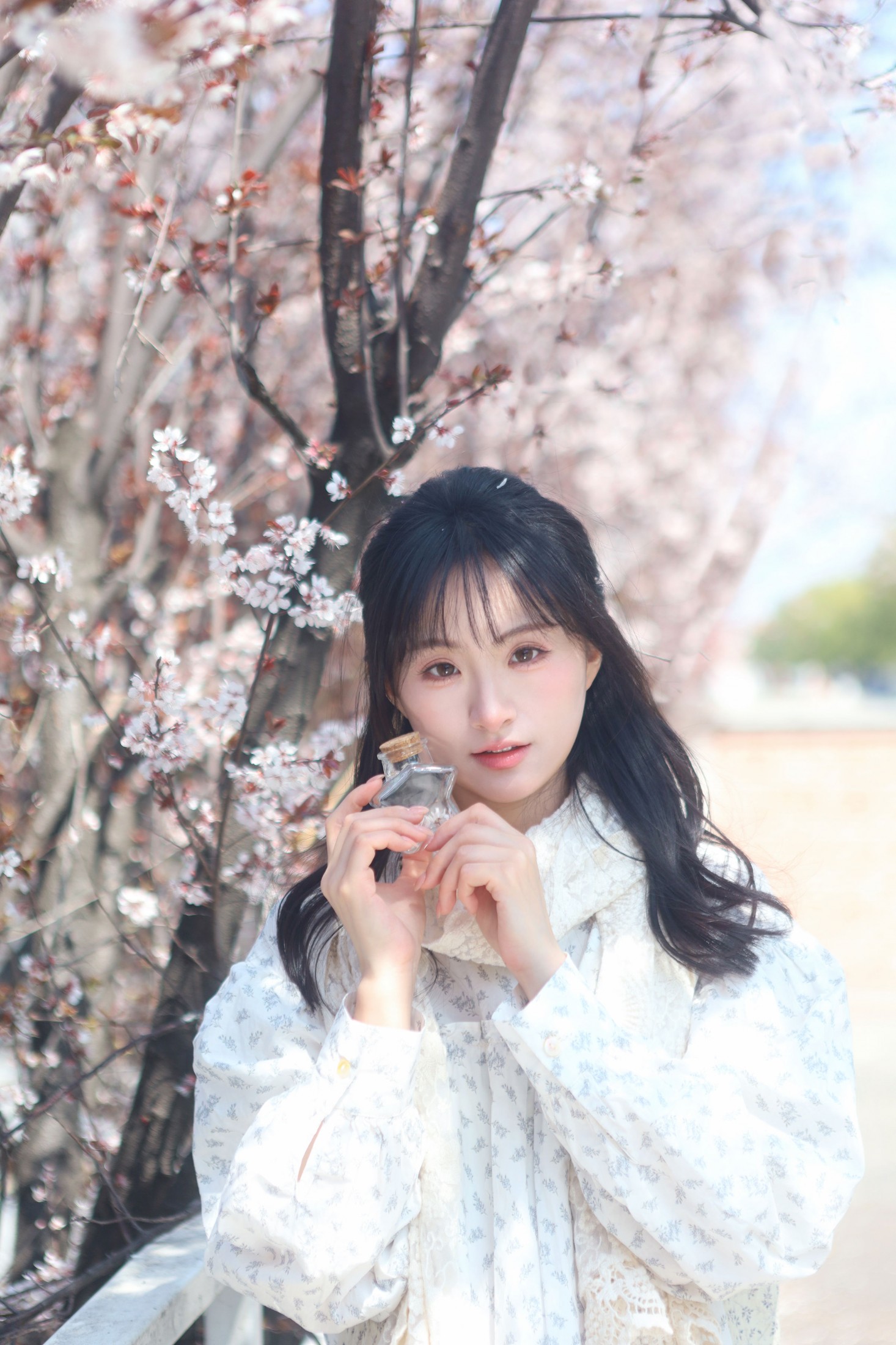 《春日生花》[9P]