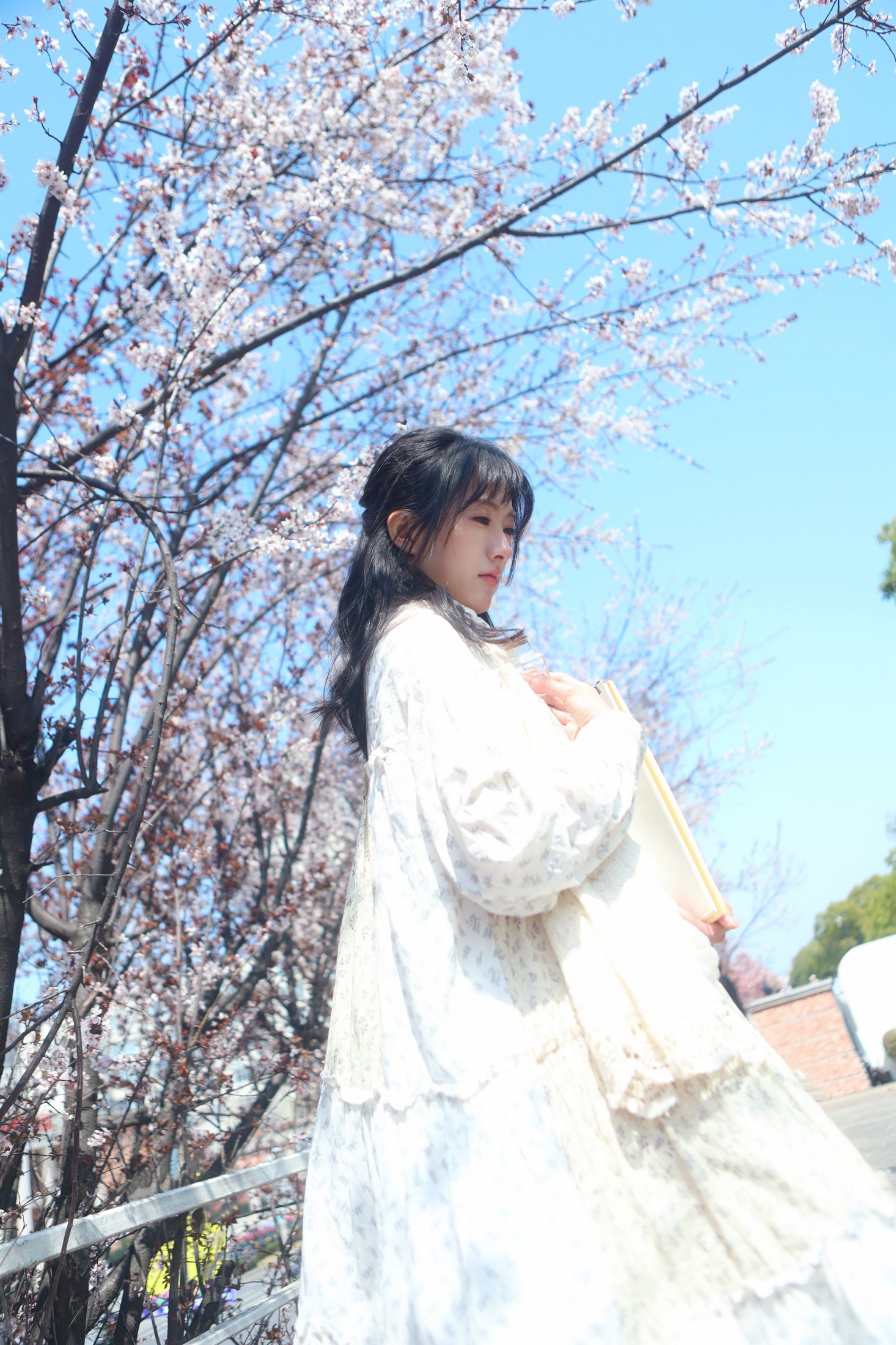 《春日生花》[9P]