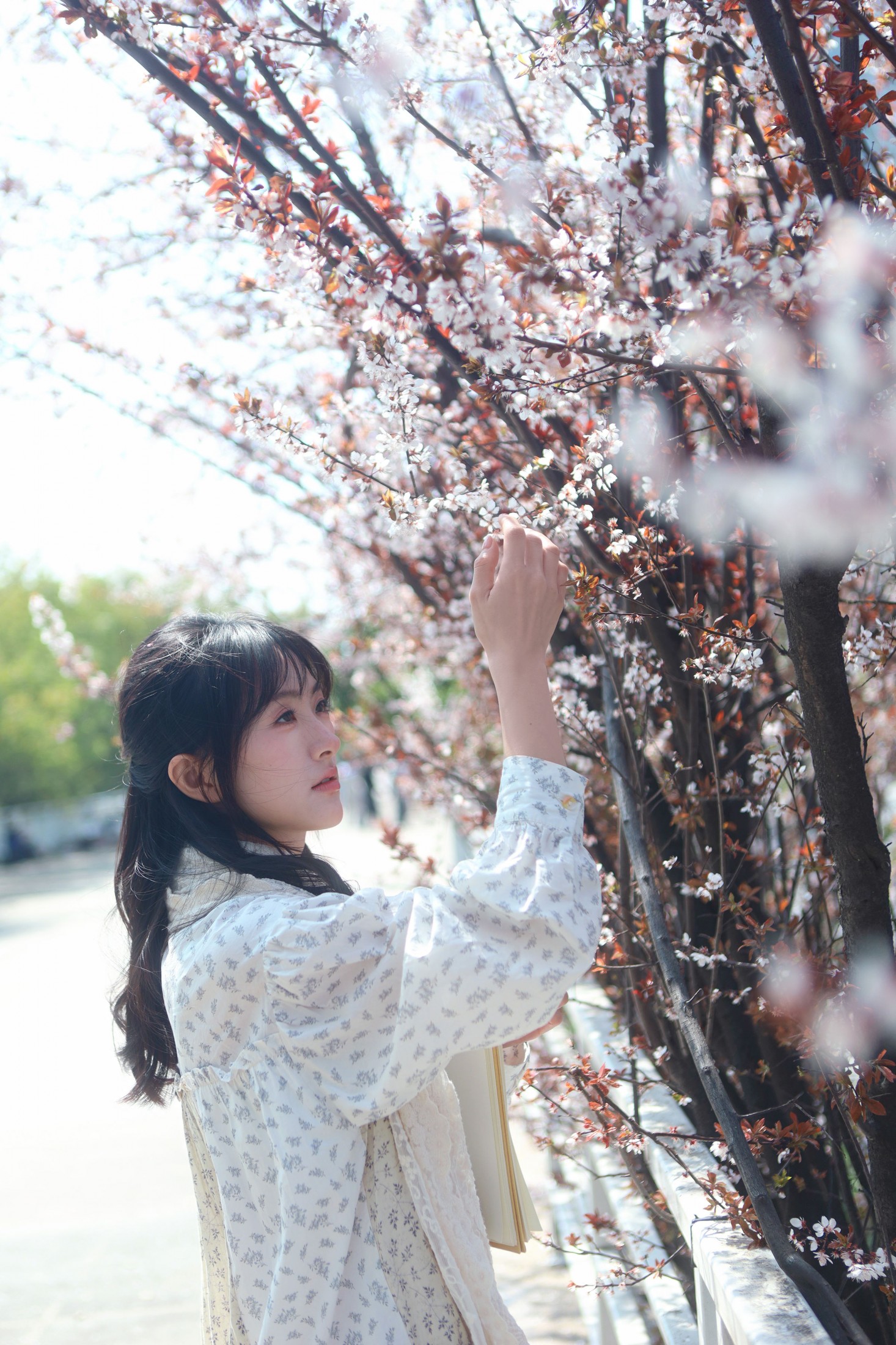 《春日生花》[9P]