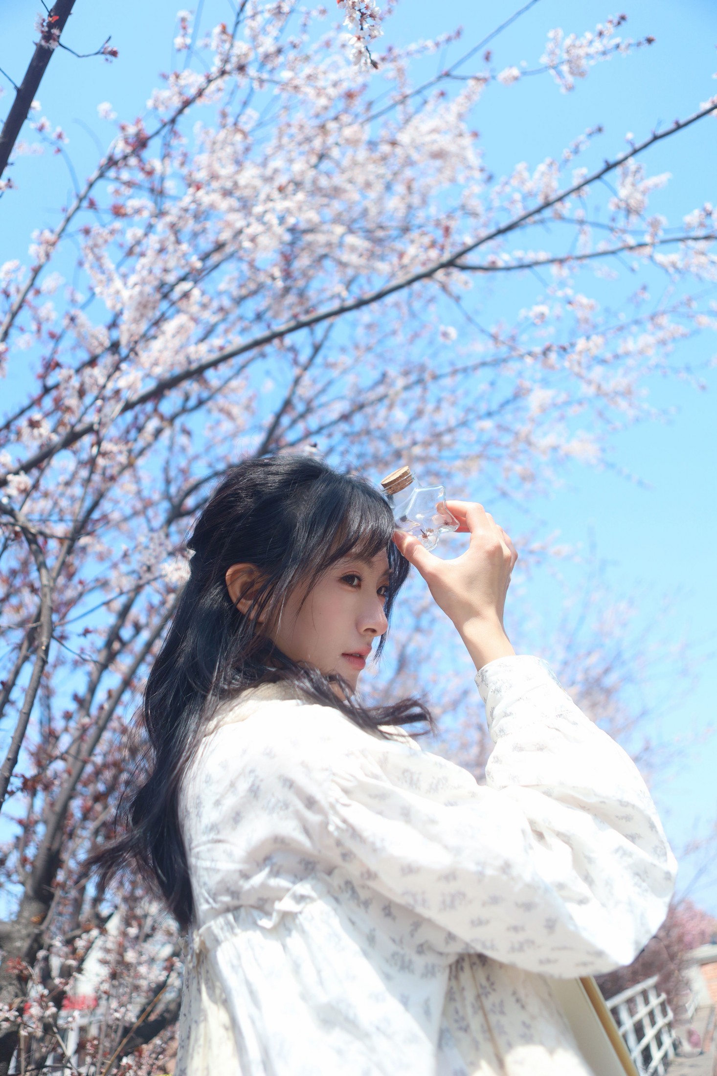 《春日生花》[9P]