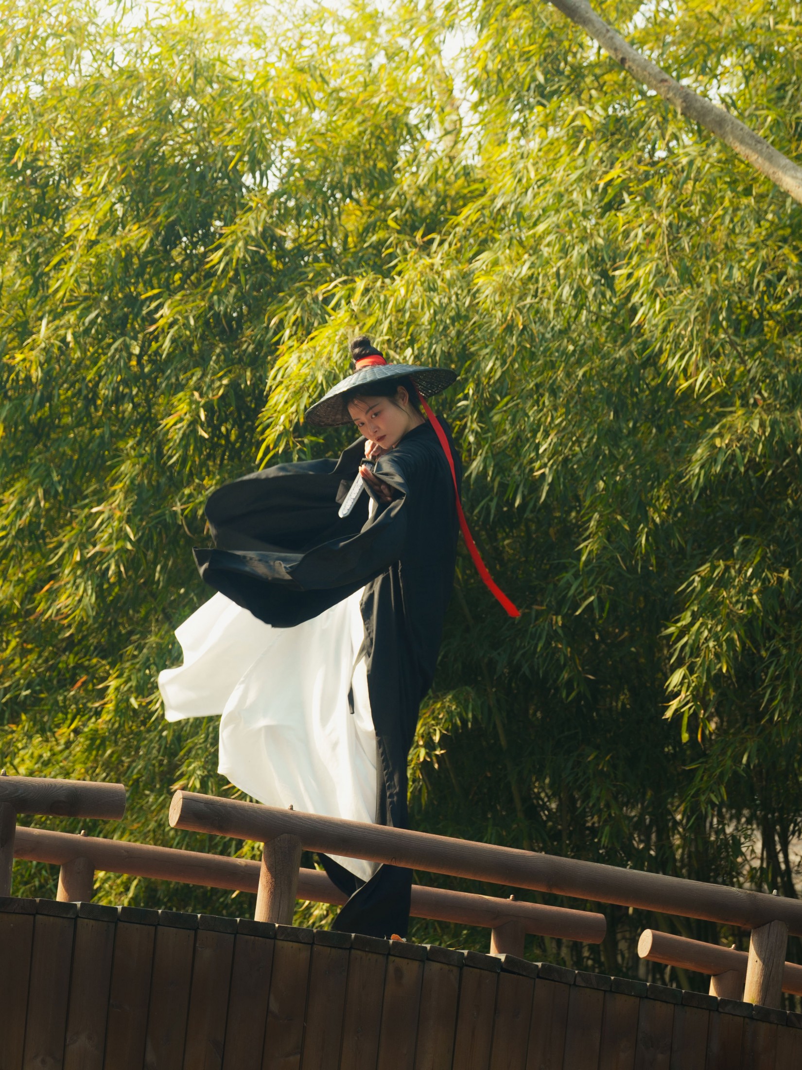 青芽 - 《侠女》[24P]