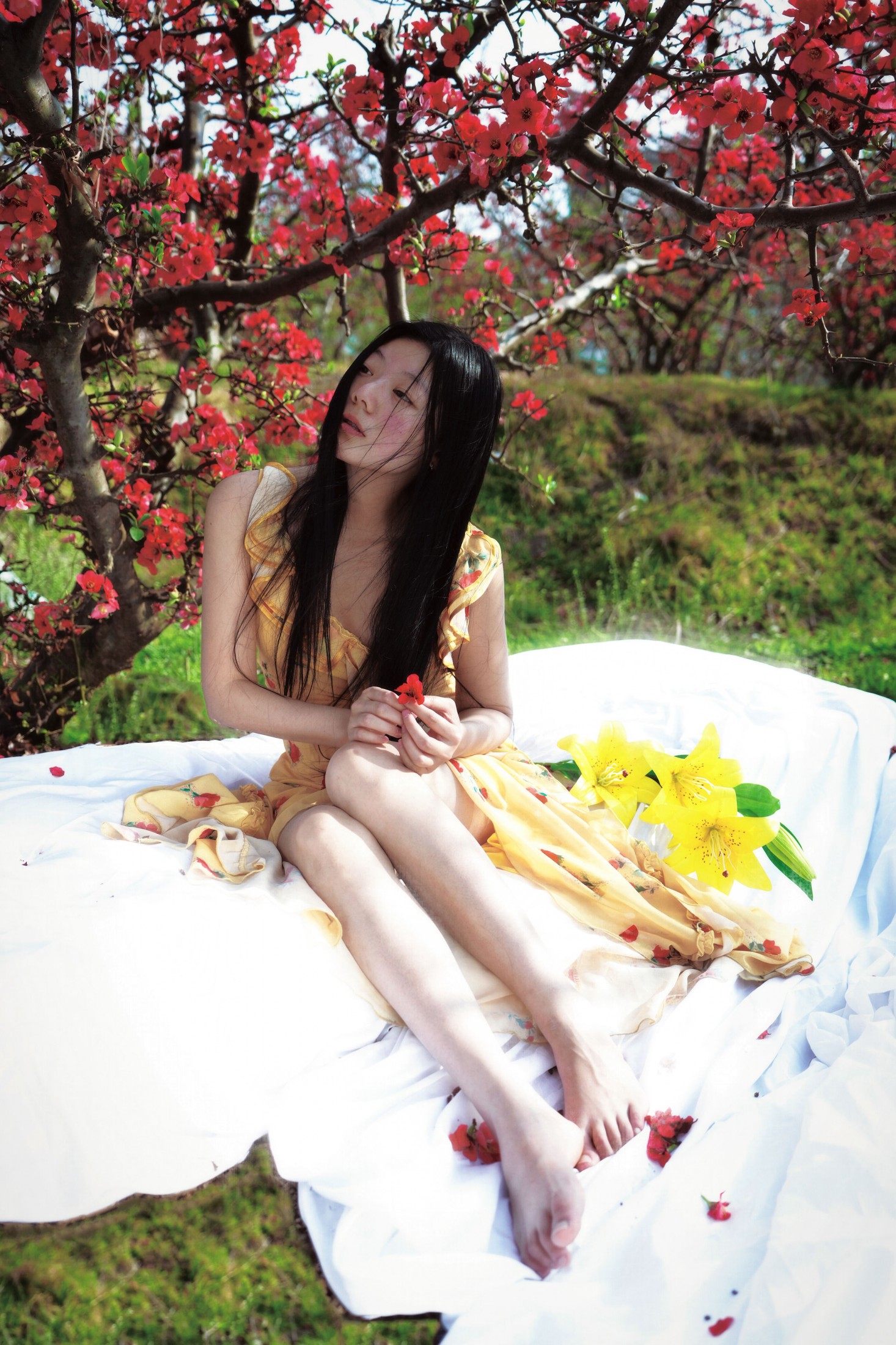 《在大理拍到了酸木瓜花》[9P]