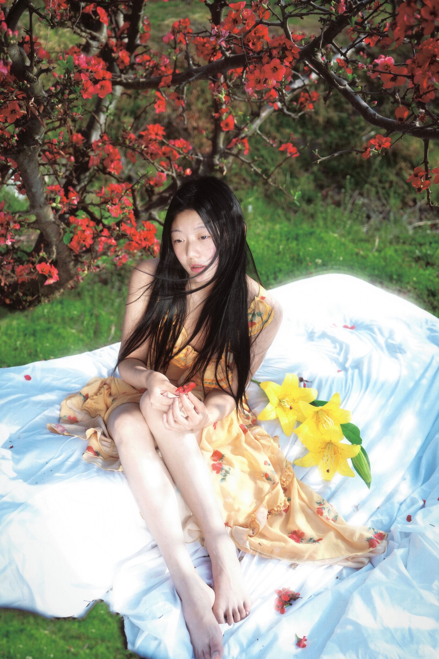 《在大理拍到了酸木瓜花》[9P]