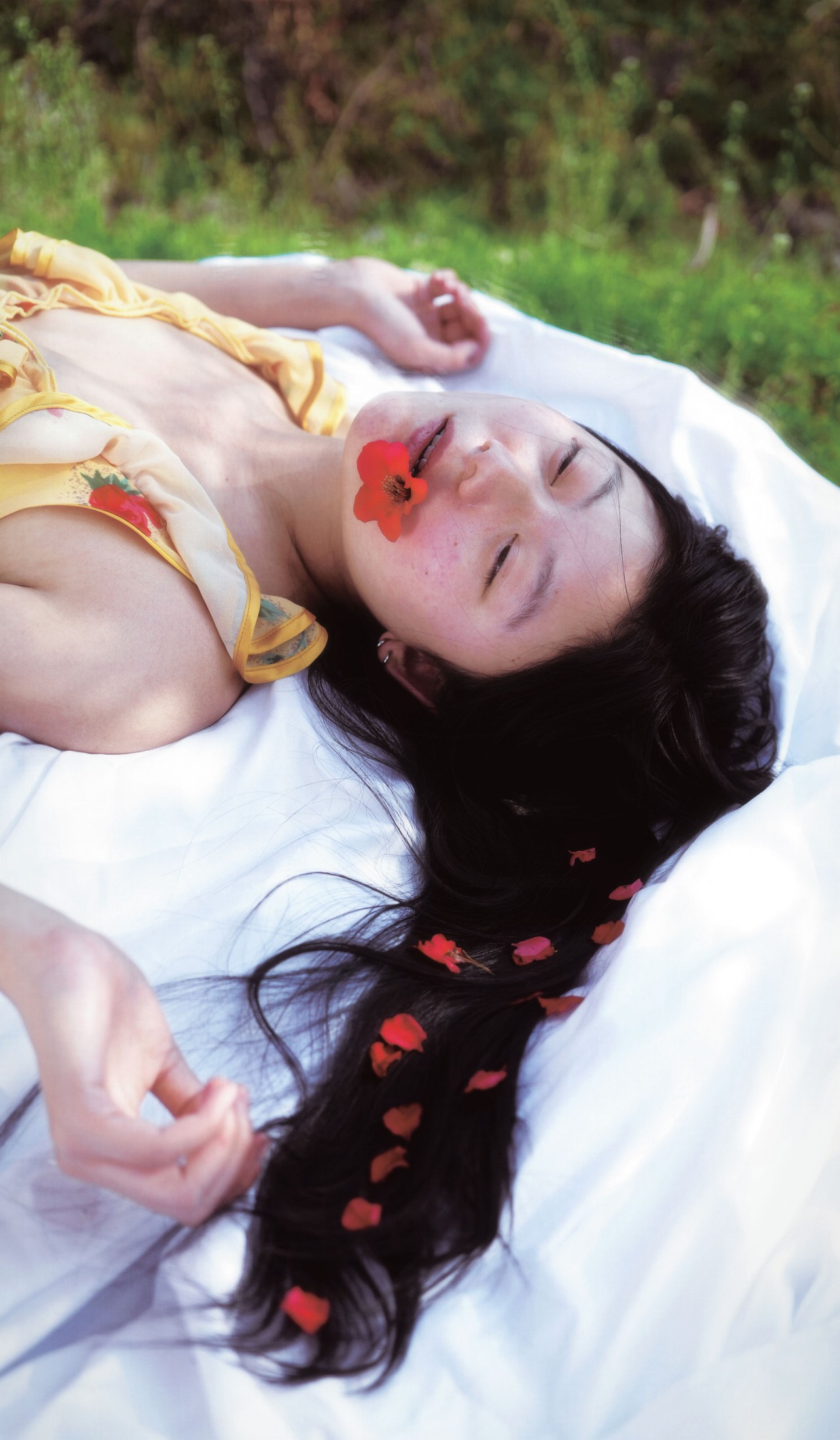 《在大理拍到了酸木瓜花》[9P]