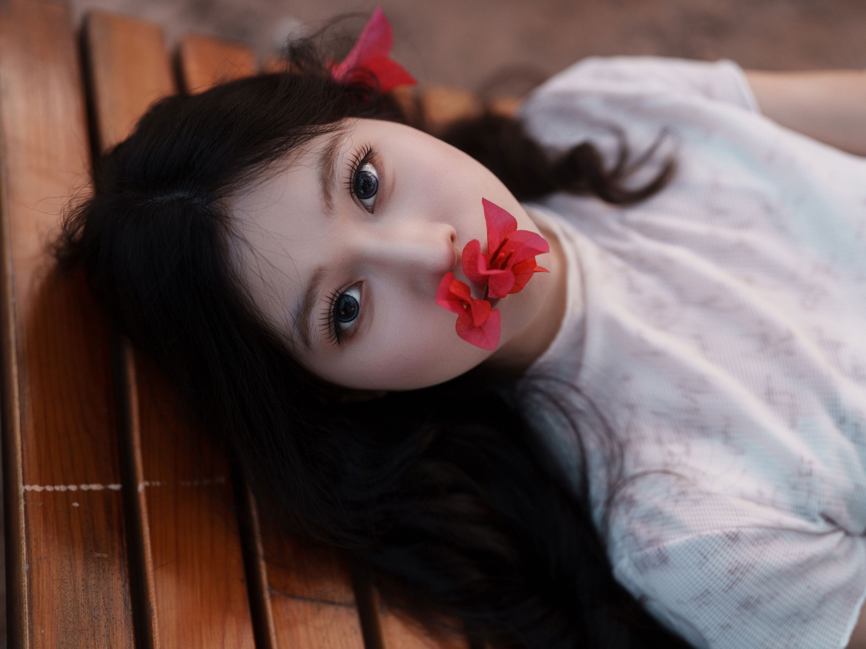 《绚丽之花》[33P]