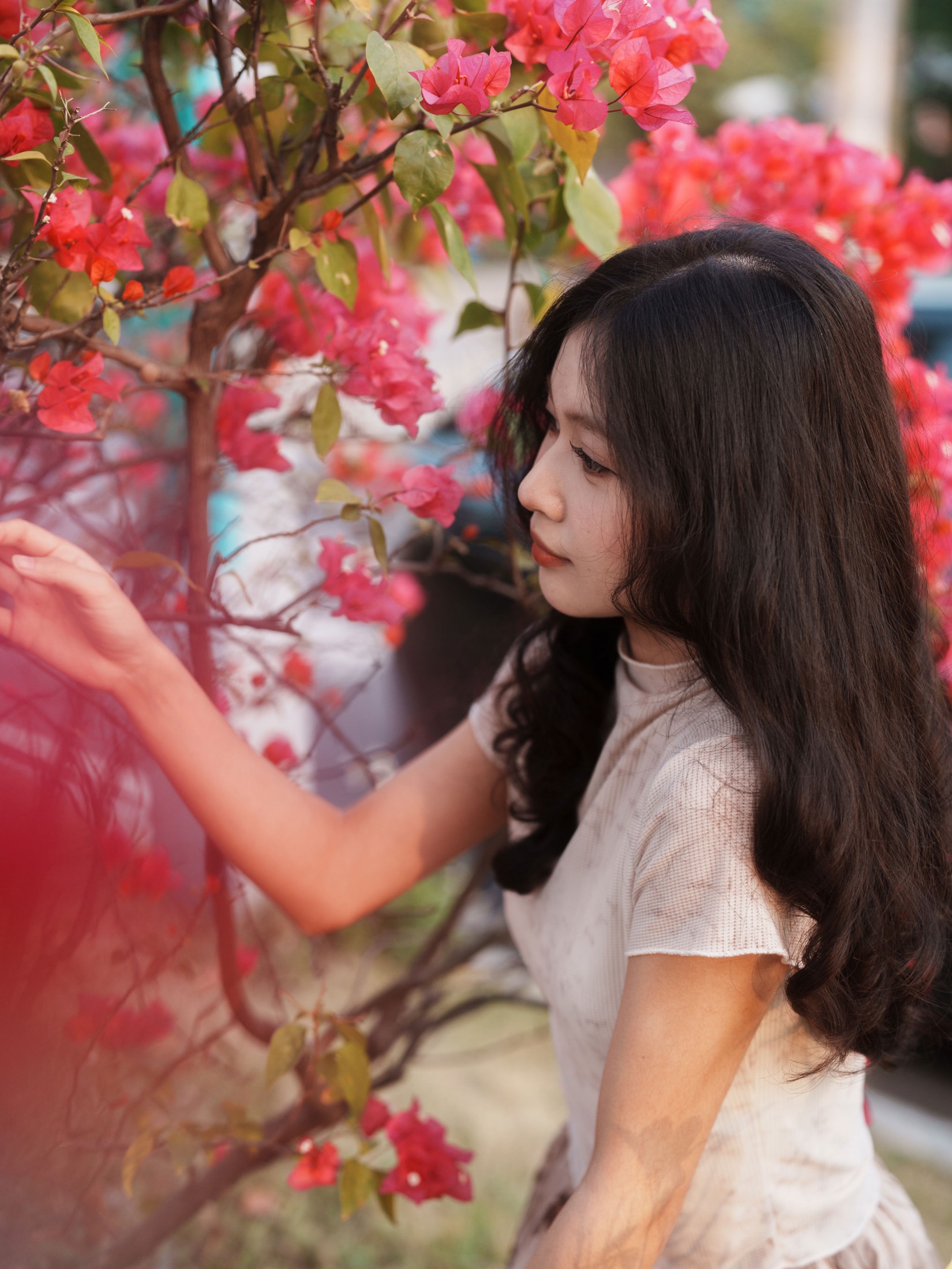 《绚丽之花》[33P]