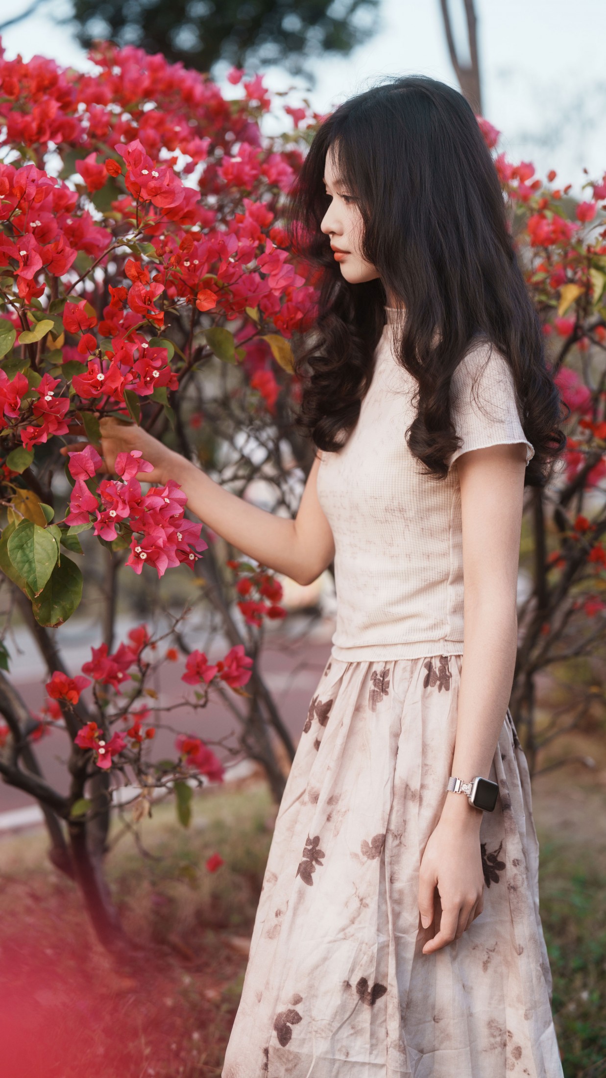 《绚丽之花》[33P]