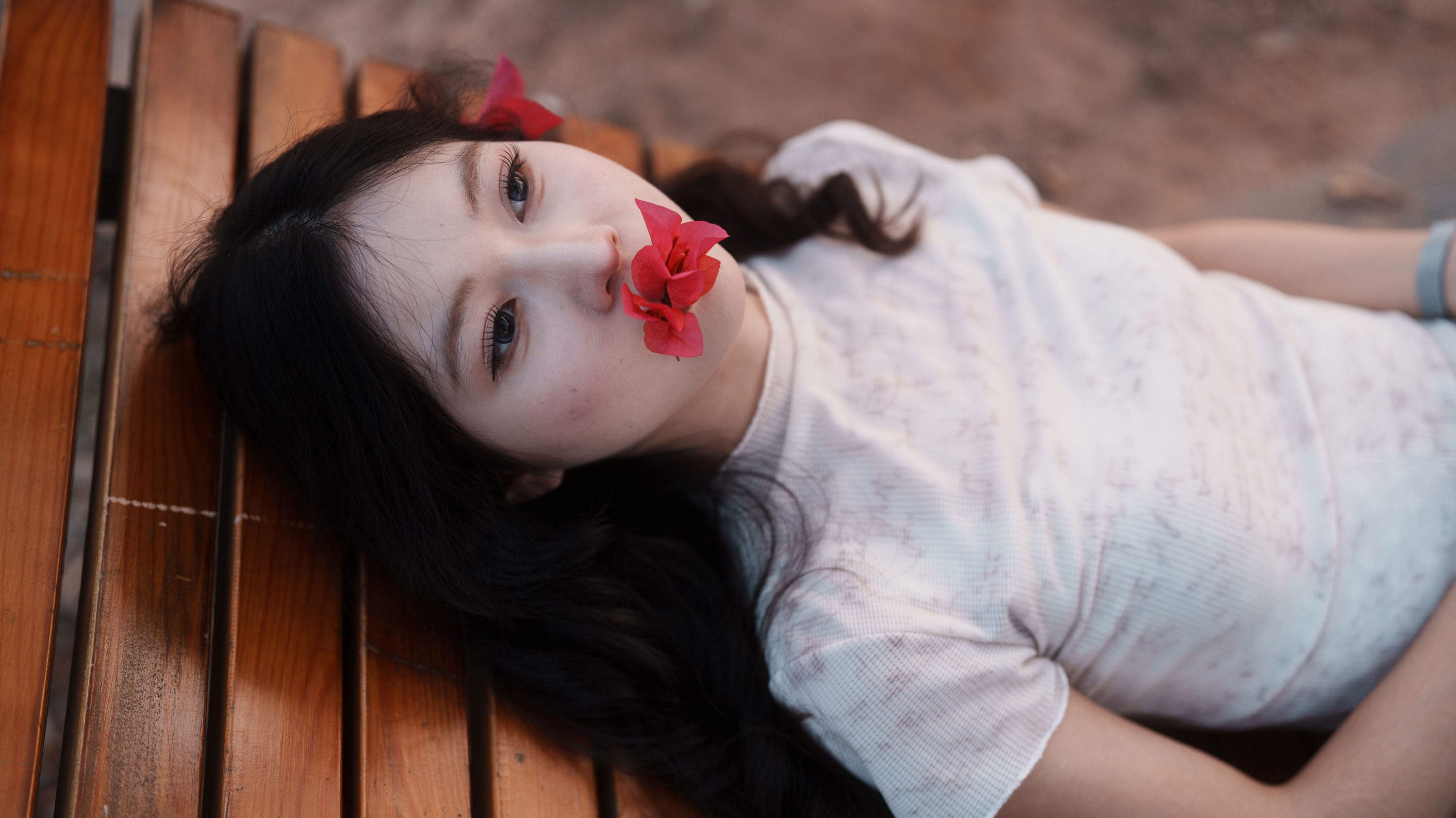 《绚丽之花》[33P]