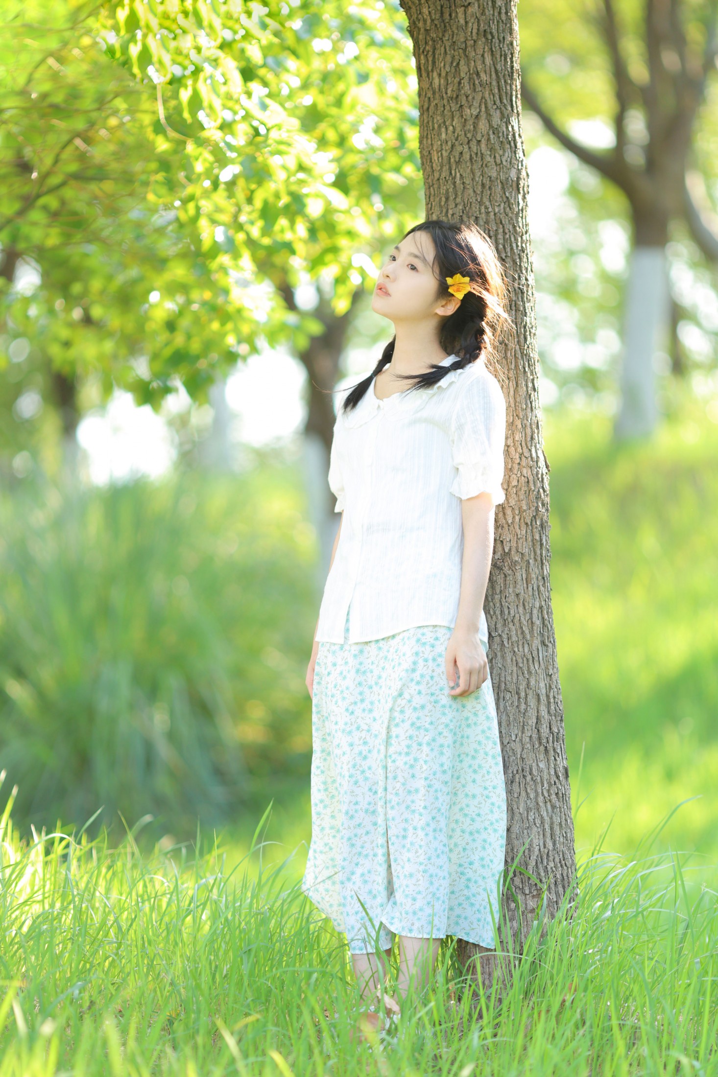 Linxi - 《我的山楂树之恋》[12P]