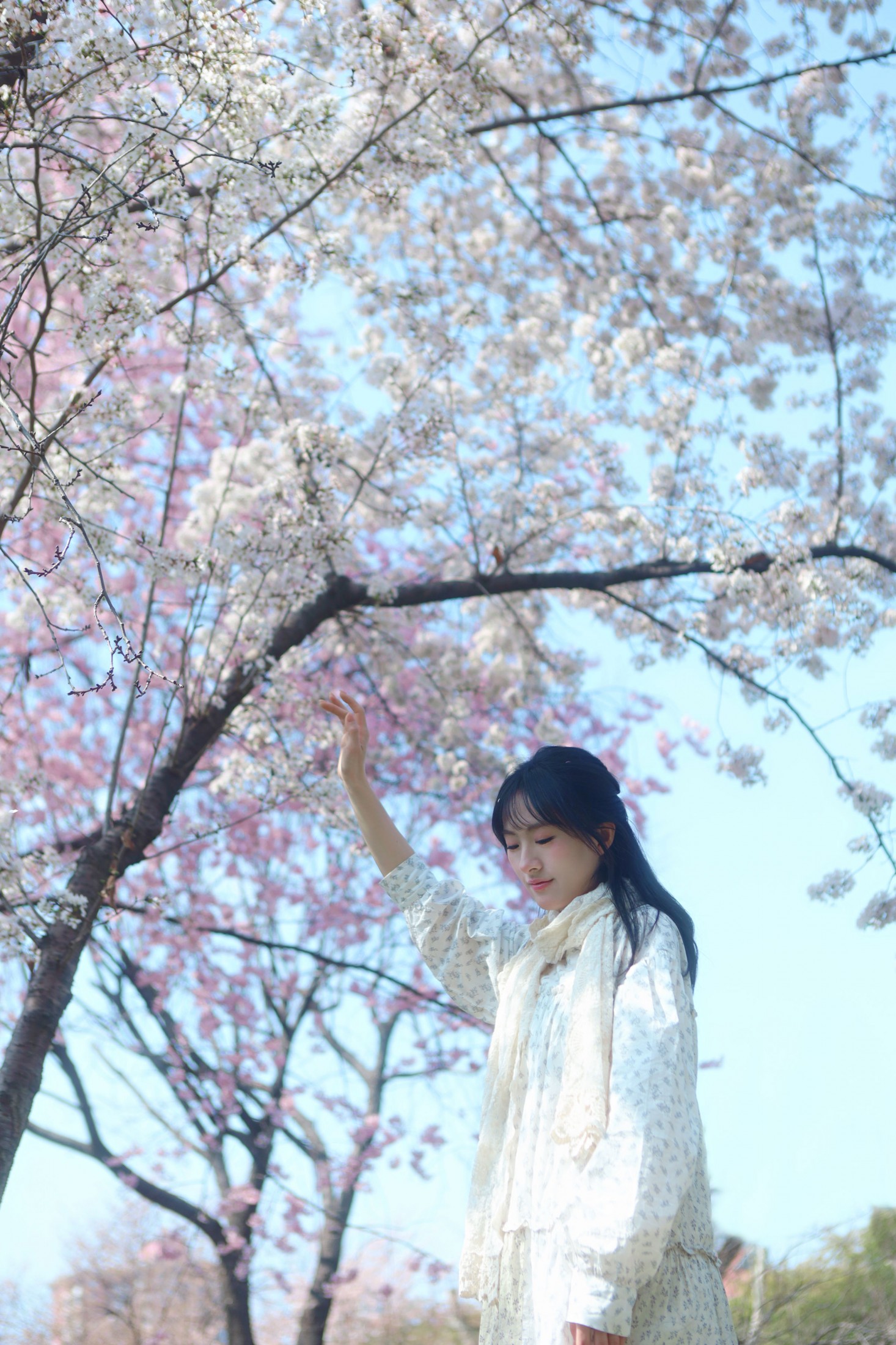 《樱花树下，你是我的春天》[9P]