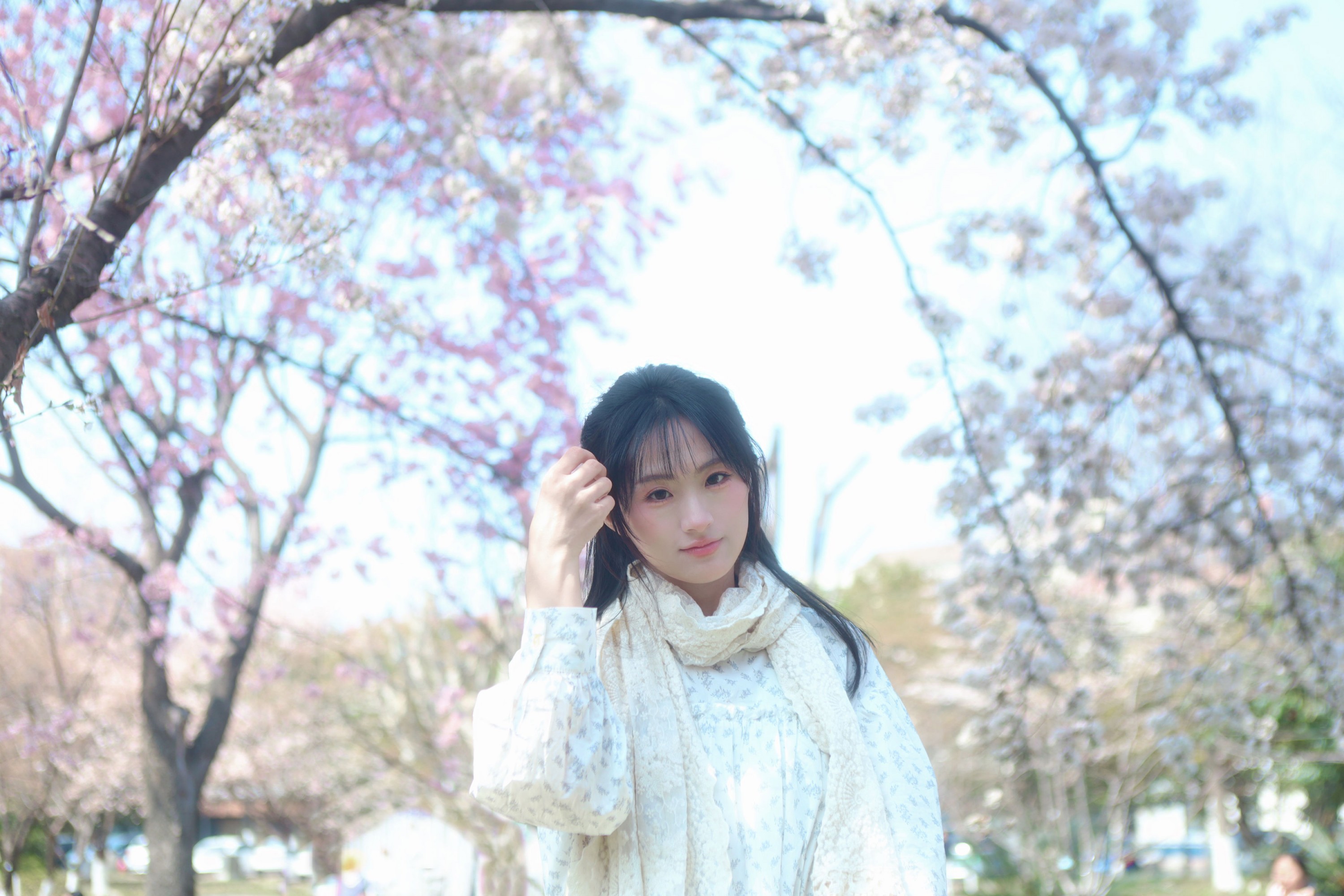 《樱花树下，你是我的春天》[9P]