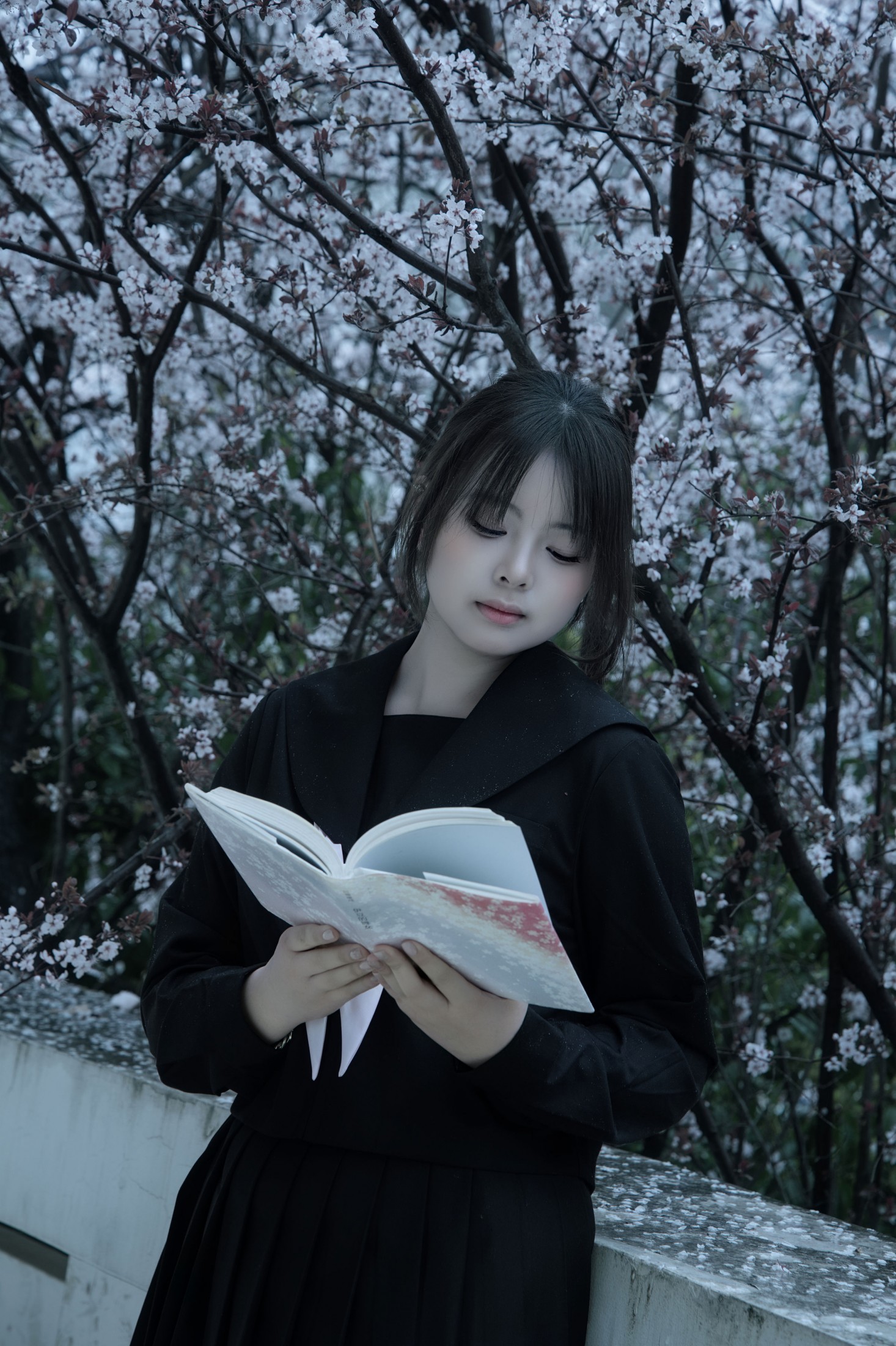 《樱花JK日记》[21P]