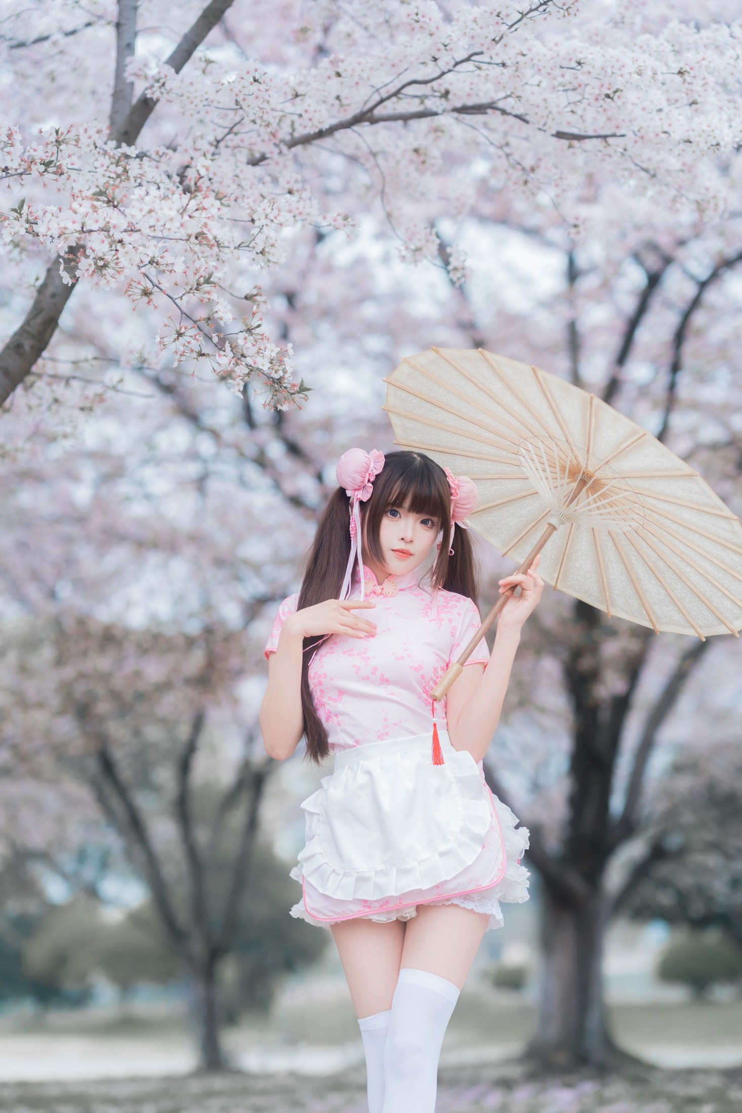 《中华娘樱花人像》[12P]