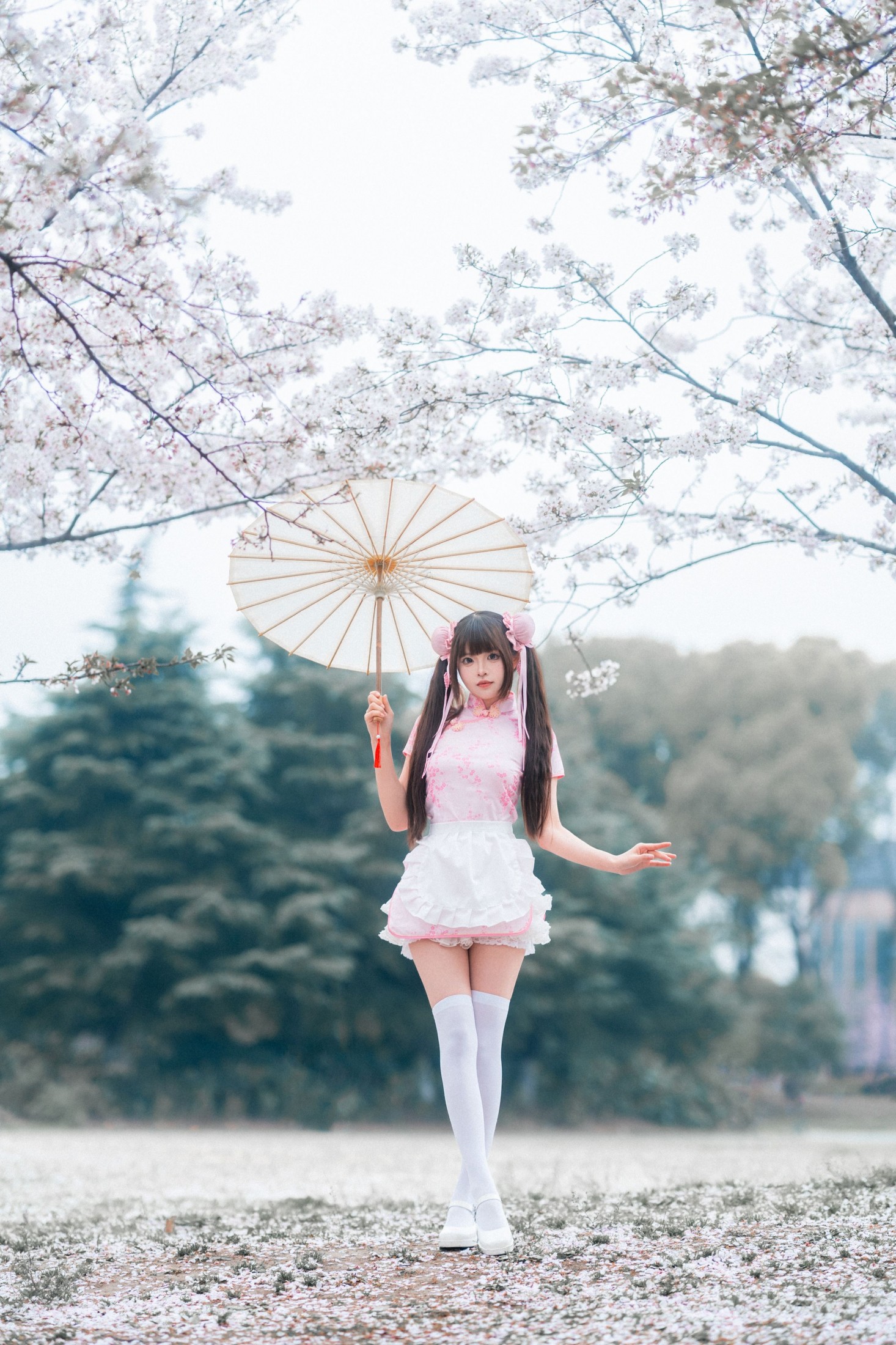 《中华娘樱花人像》[12P]