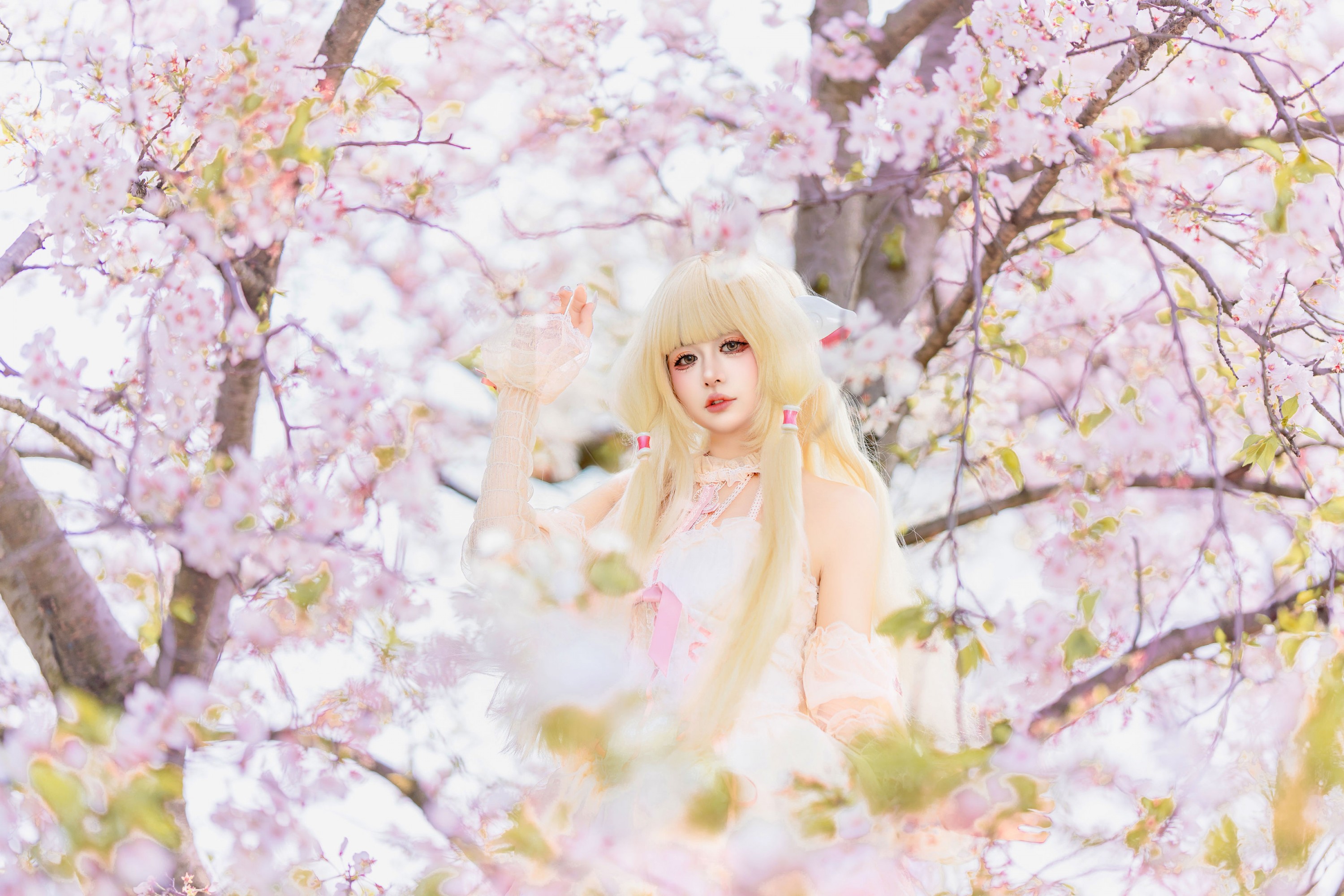 《小叽樱花》[30P]