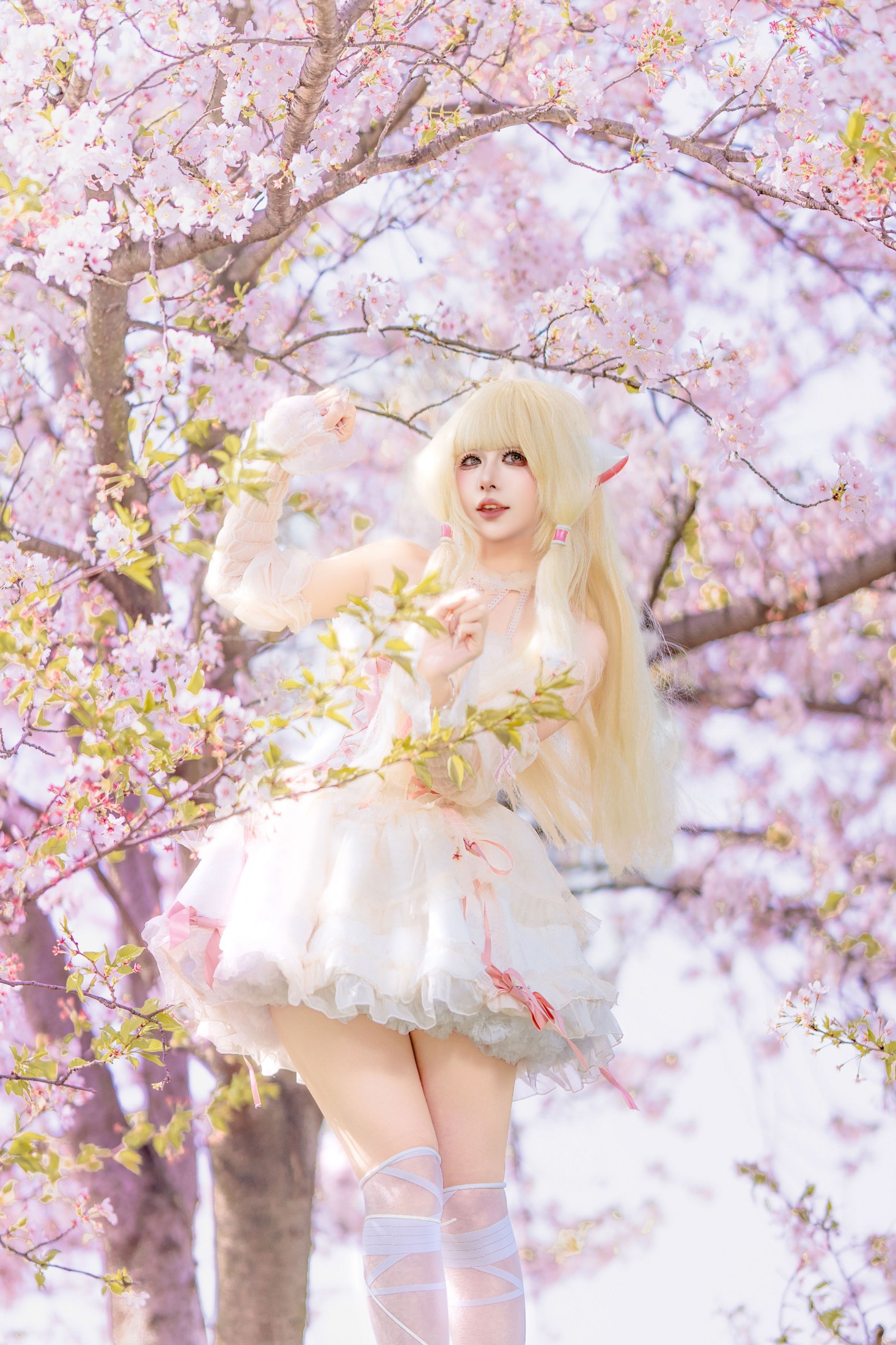 《小叽樱花》[30P]