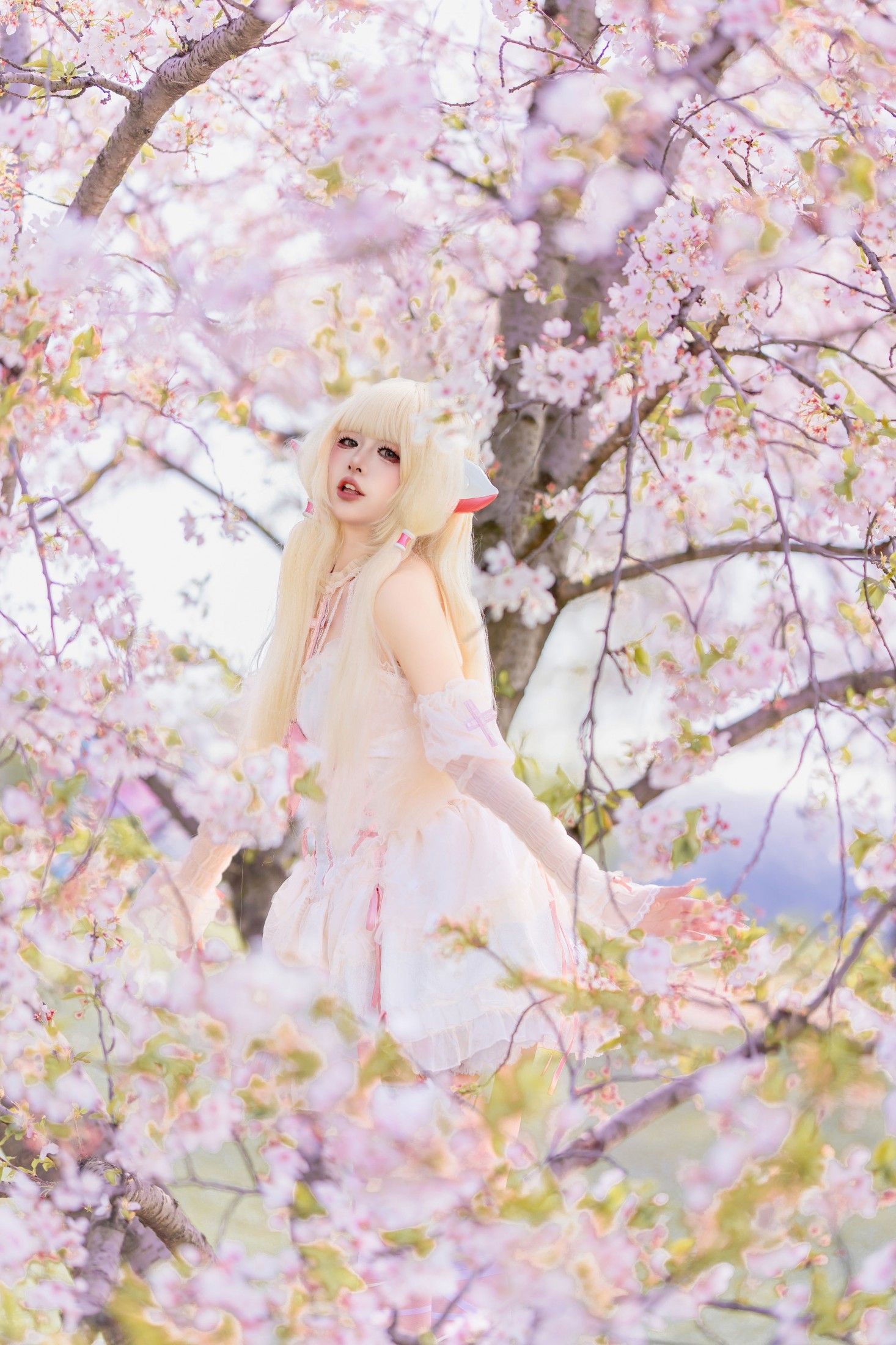 《小叽樱花》[30P]