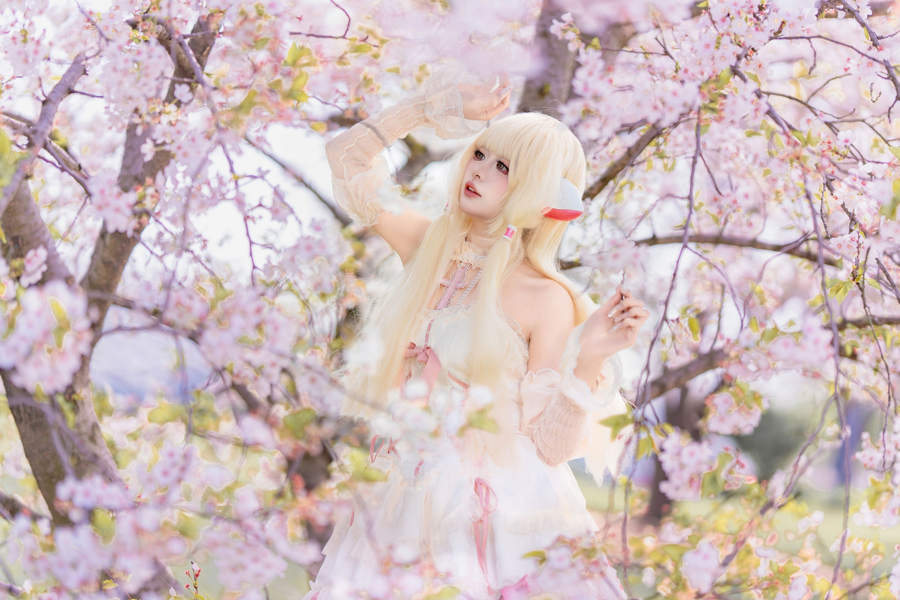 《小叽樱花》[30P]