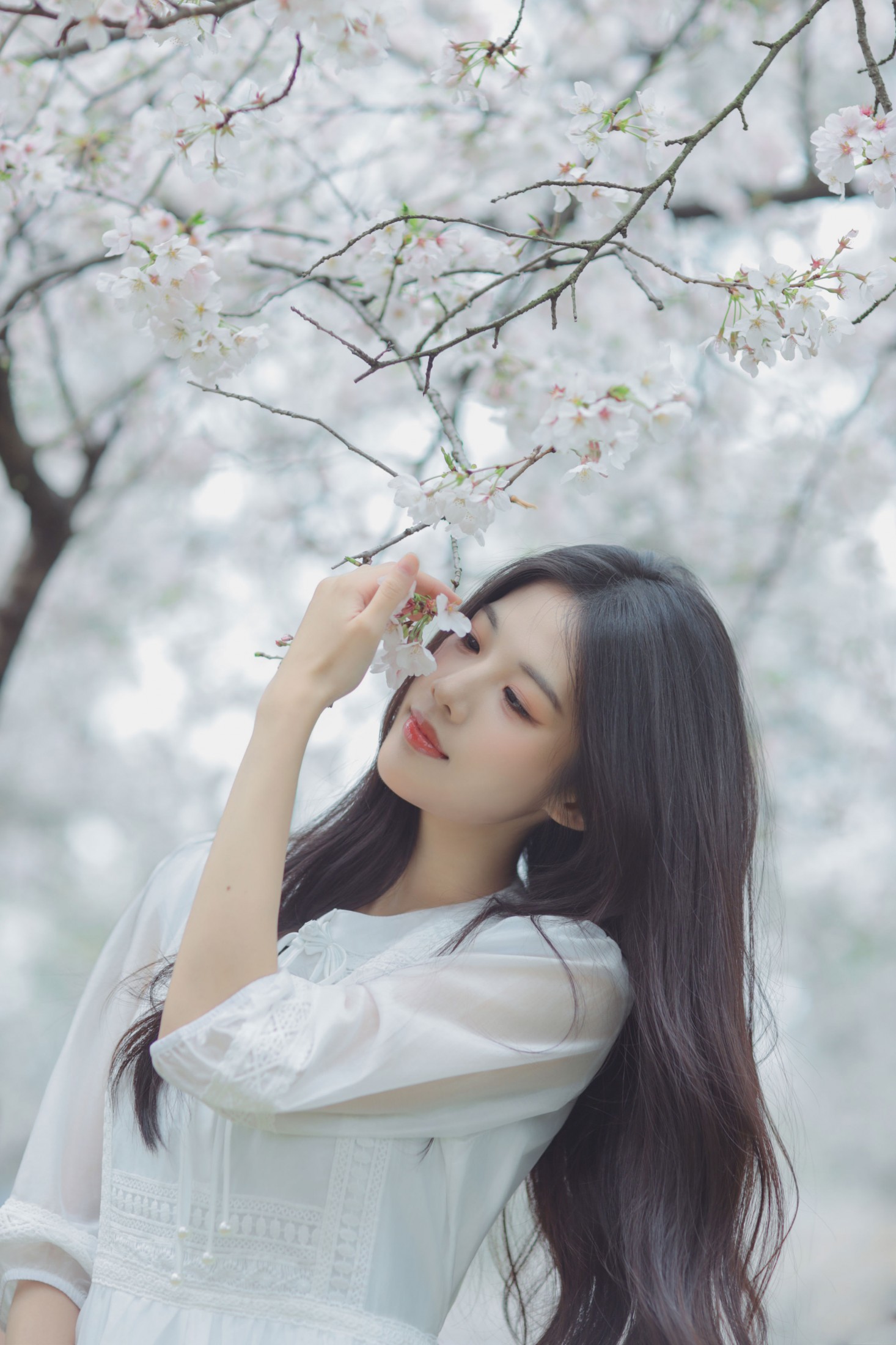 西西 – 《白色樱花》[28P]