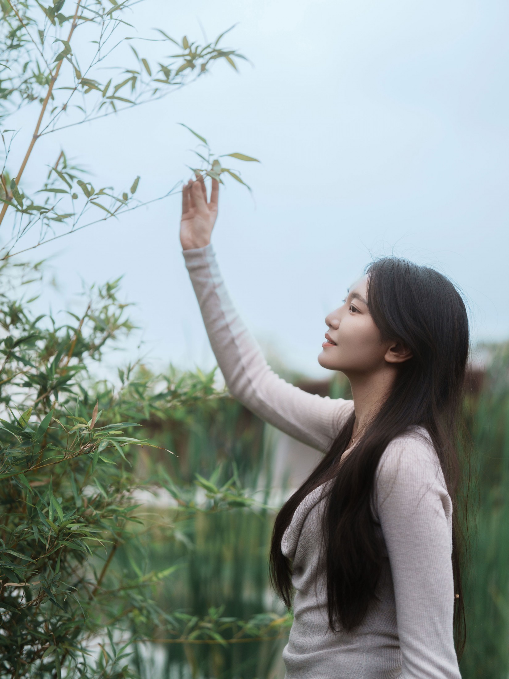 《粉色樱花》[34P]