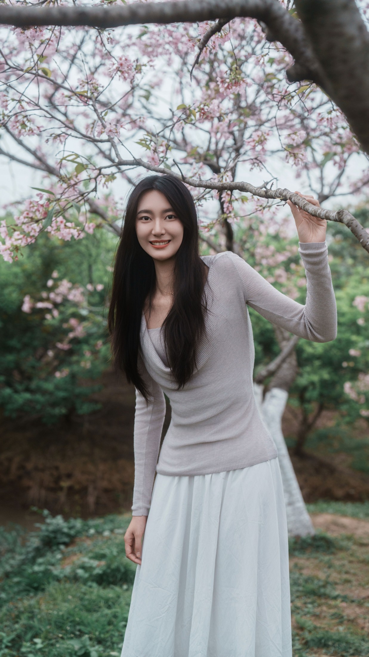 《粉色樱花》[34P]