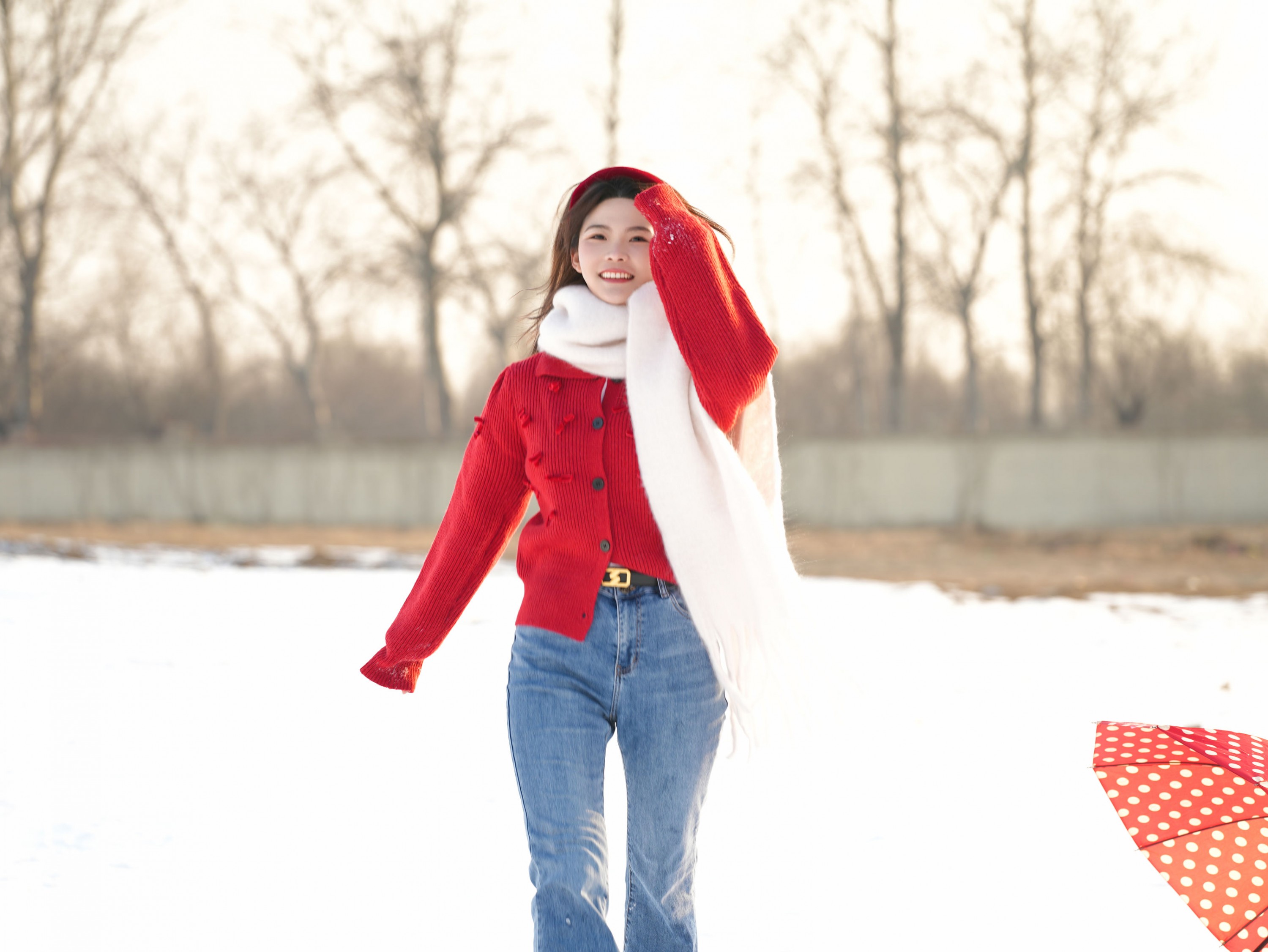 《雪地里的红蝴蝶》[23P]