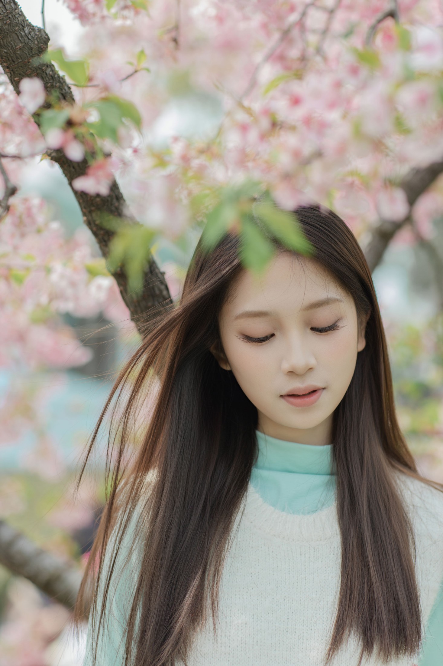 我不是麻酱 - 《春花烂漫》[31P]