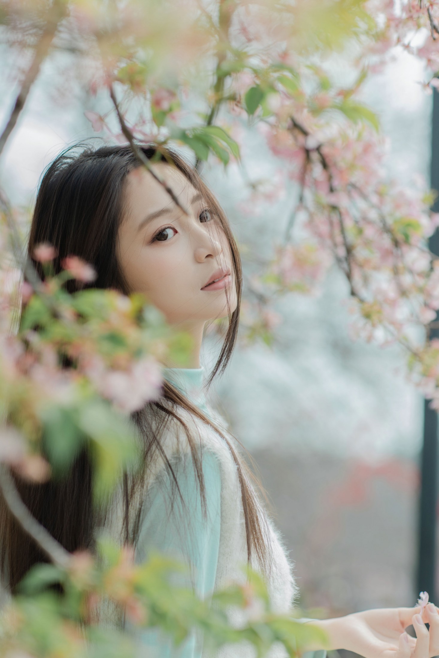 我不是麻酱 - 《春花烂漫》[31P]