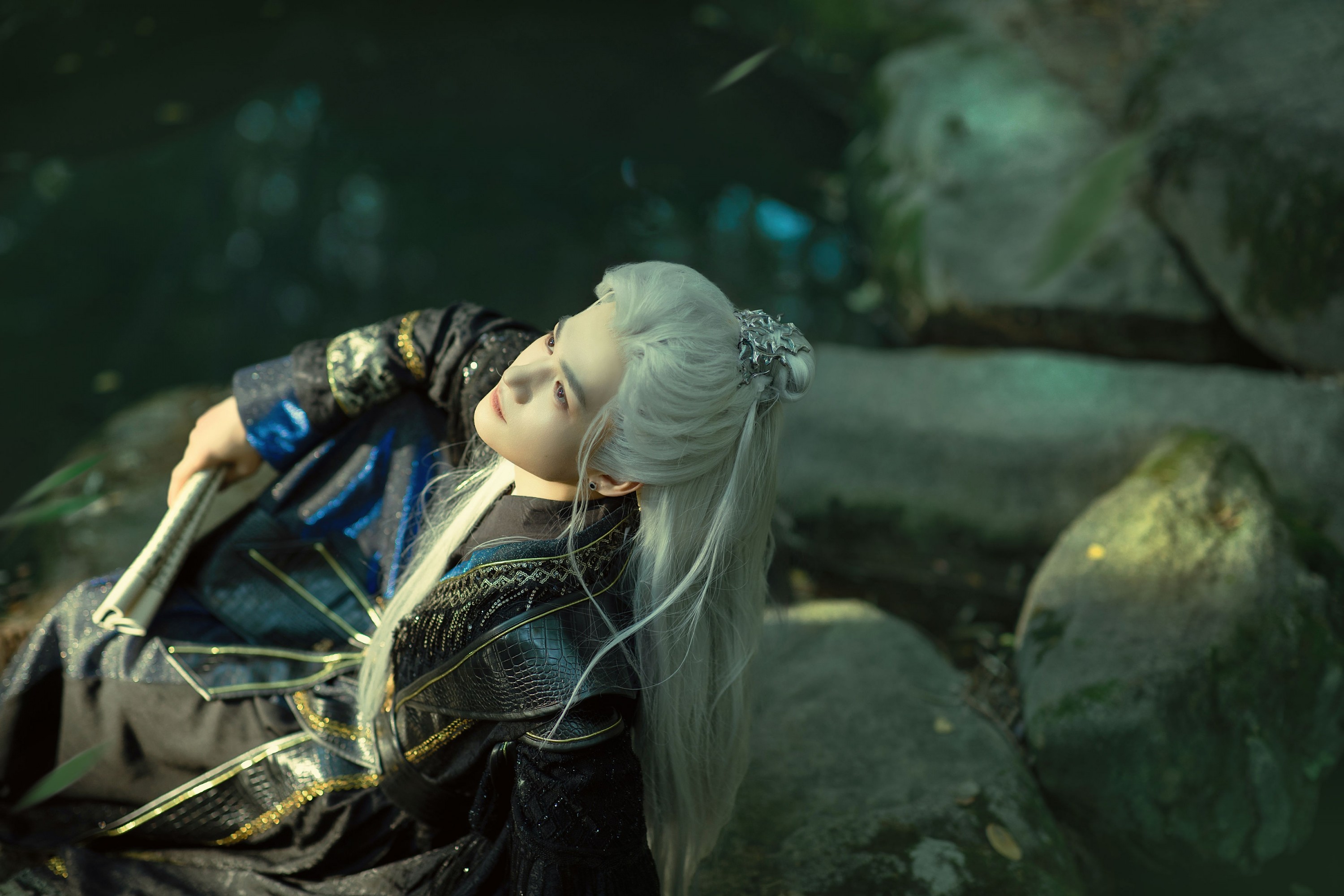 《水龙吟》[25P]