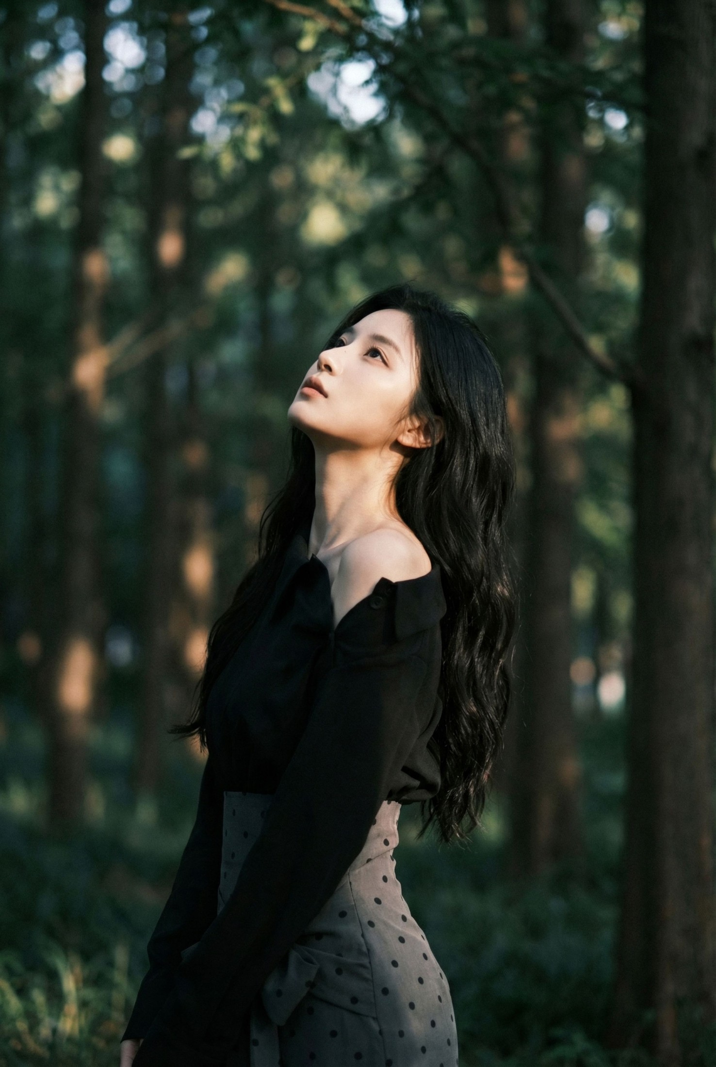 《暗林微光》[13P]