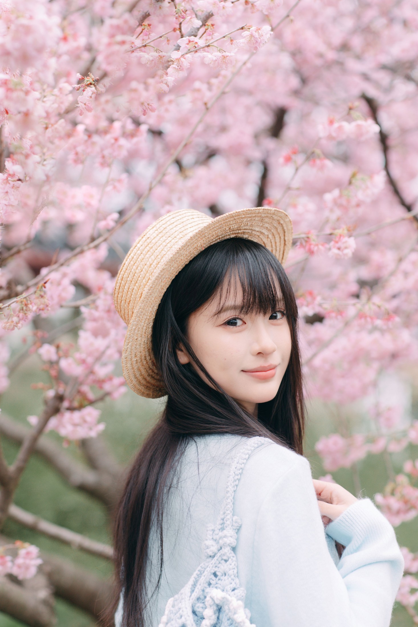 donotcry. – 《粉色樱花》[29P]