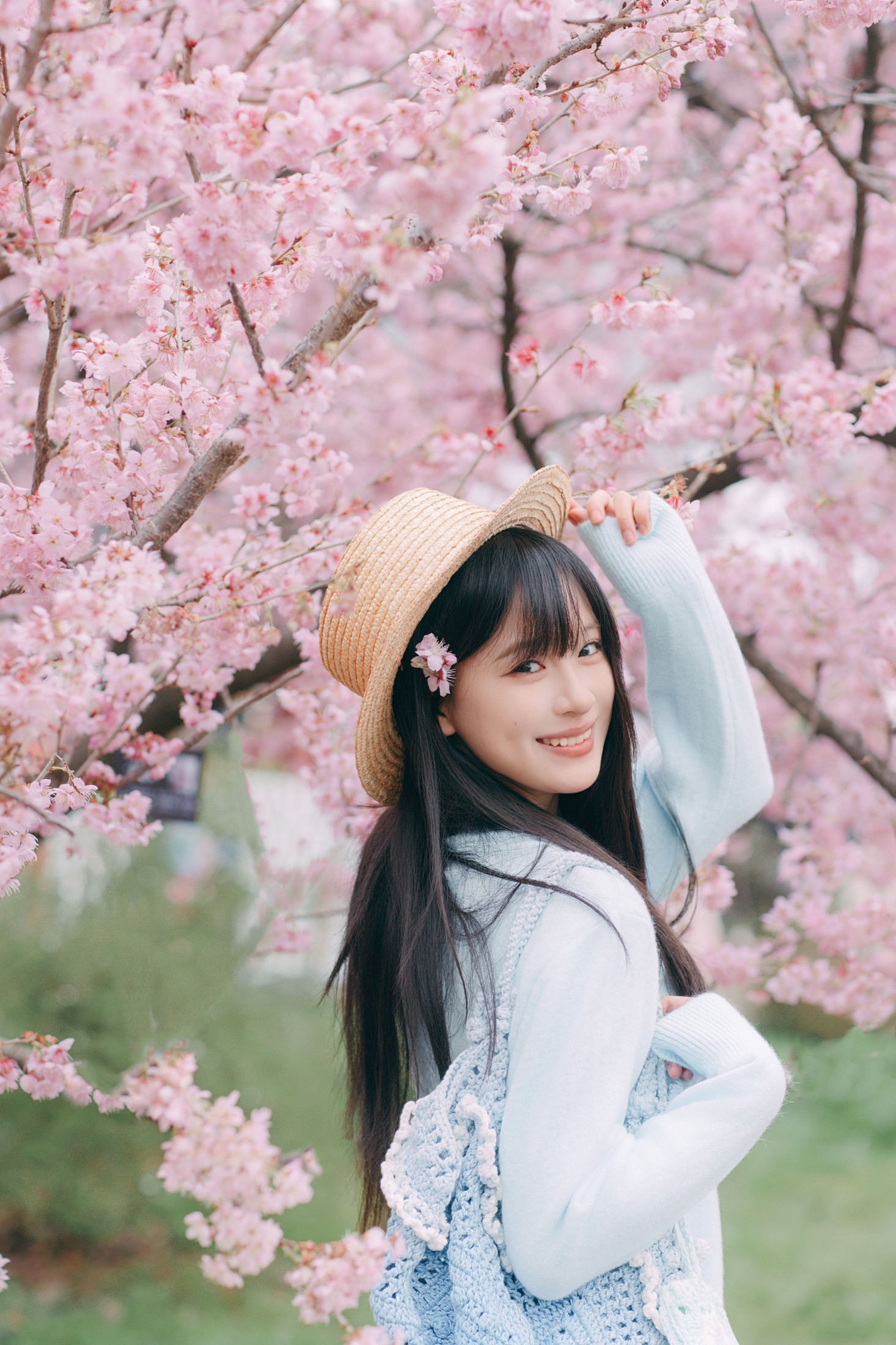 donotcry. - 《粉色樱花》[29P]