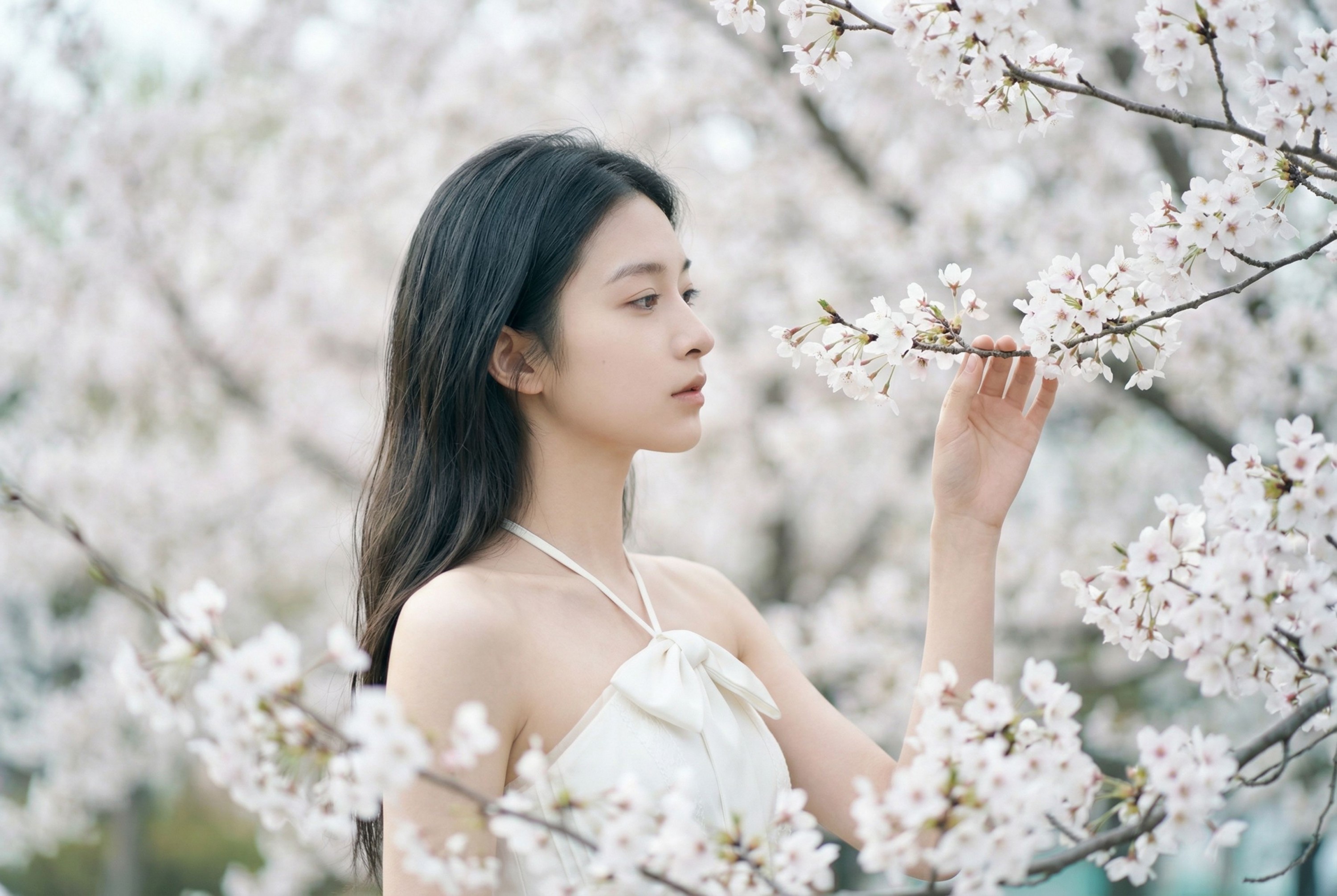 《春日信》[10P]