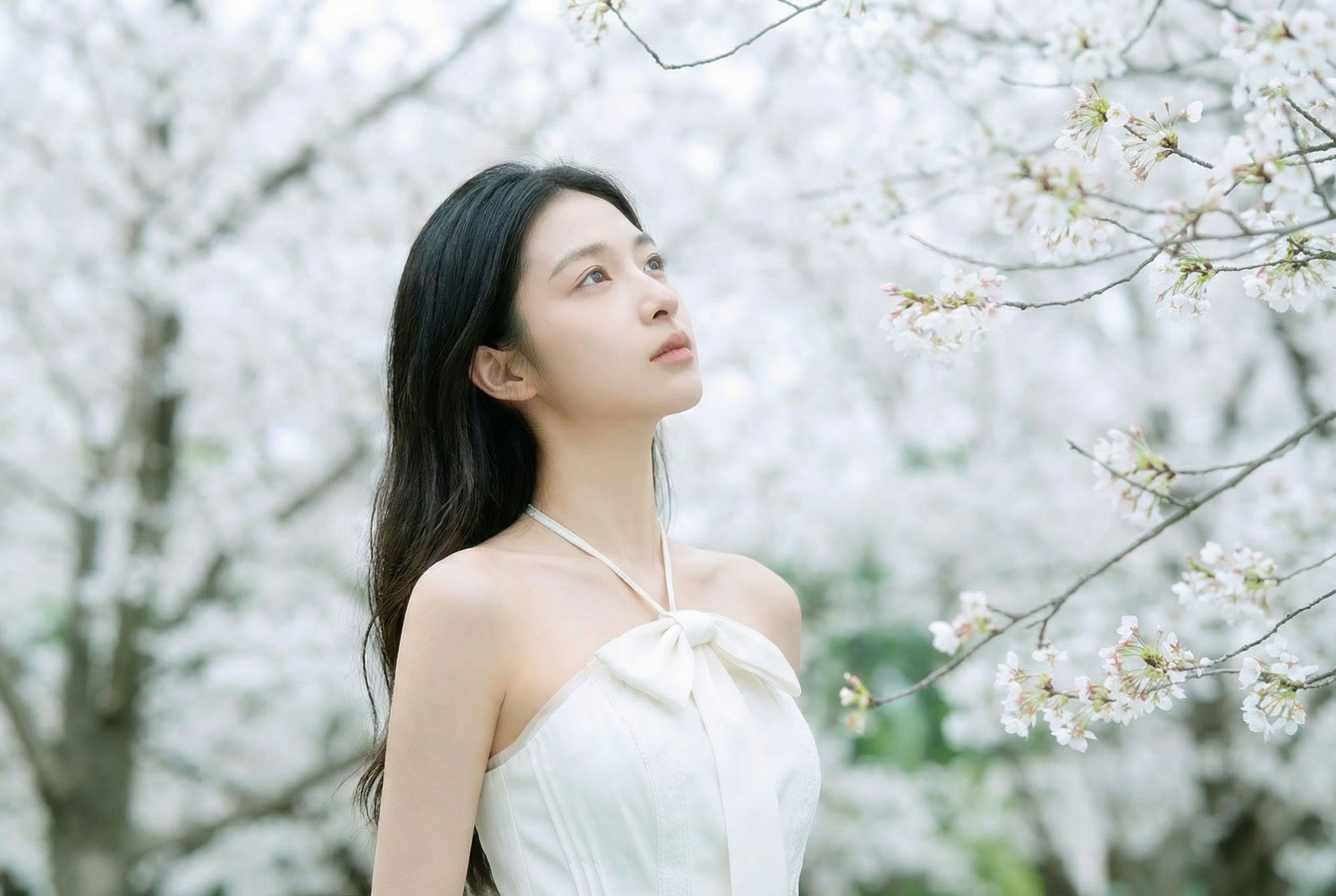 《春日信》[10P]