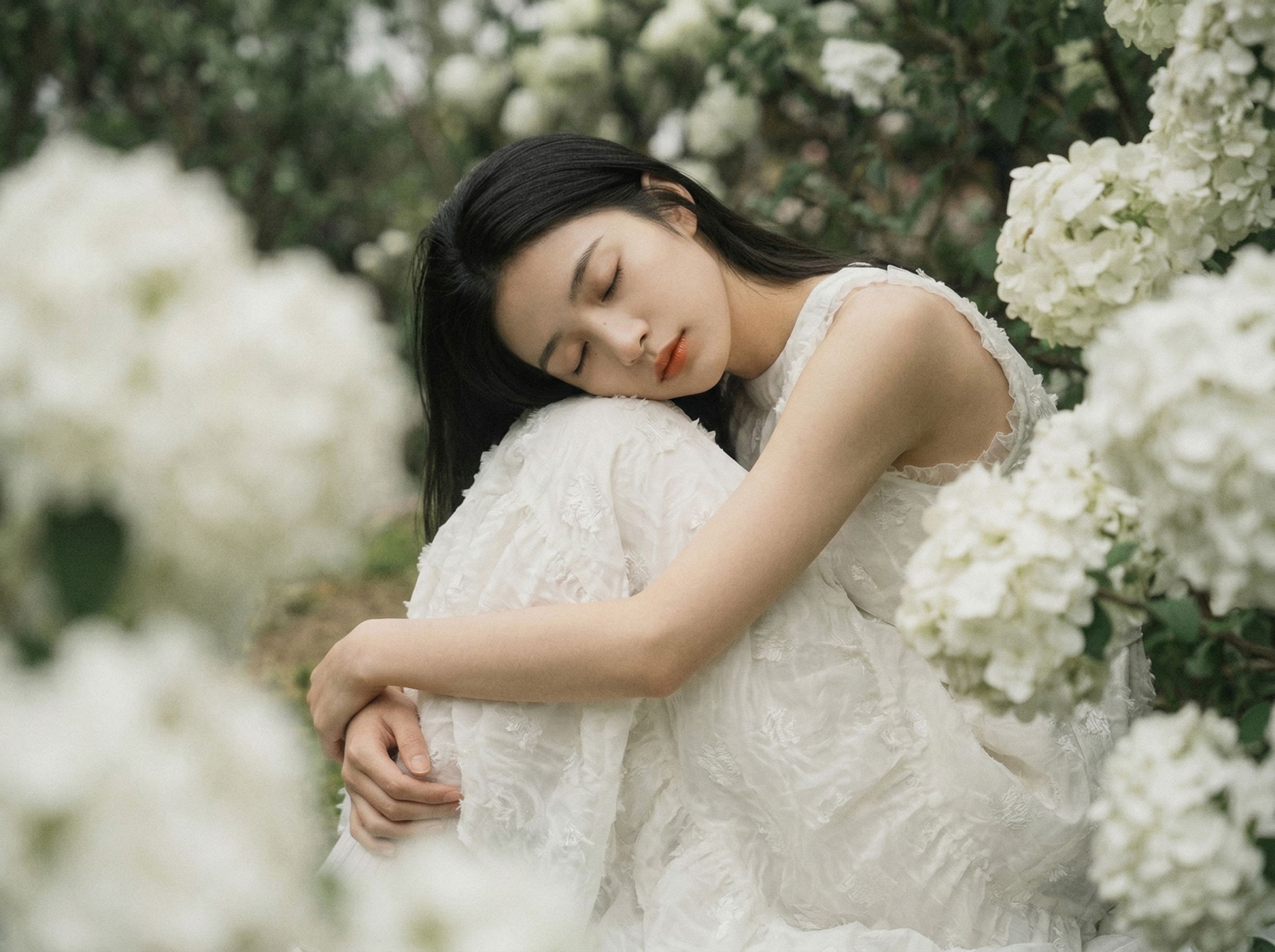 《白絮春深》[12P]