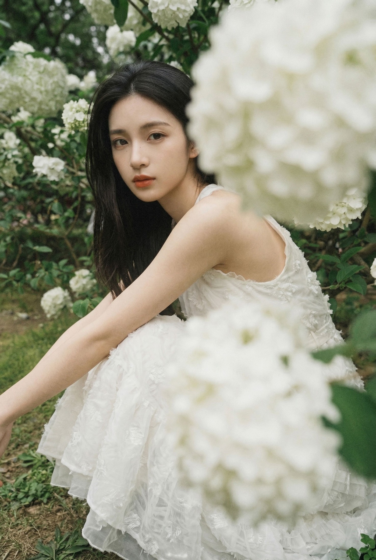 《白絮春深》[12P]