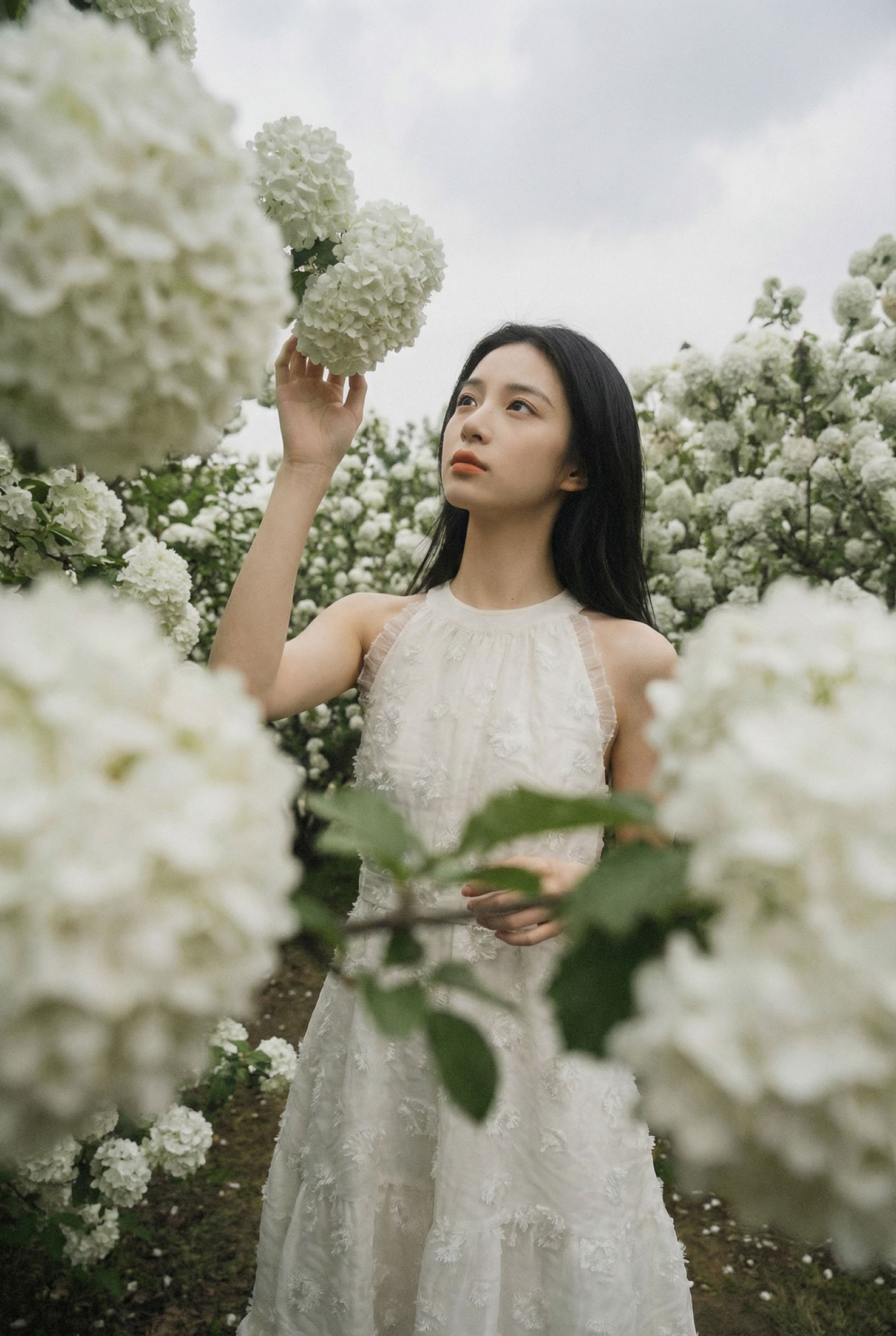 《白絮春深》[12P]