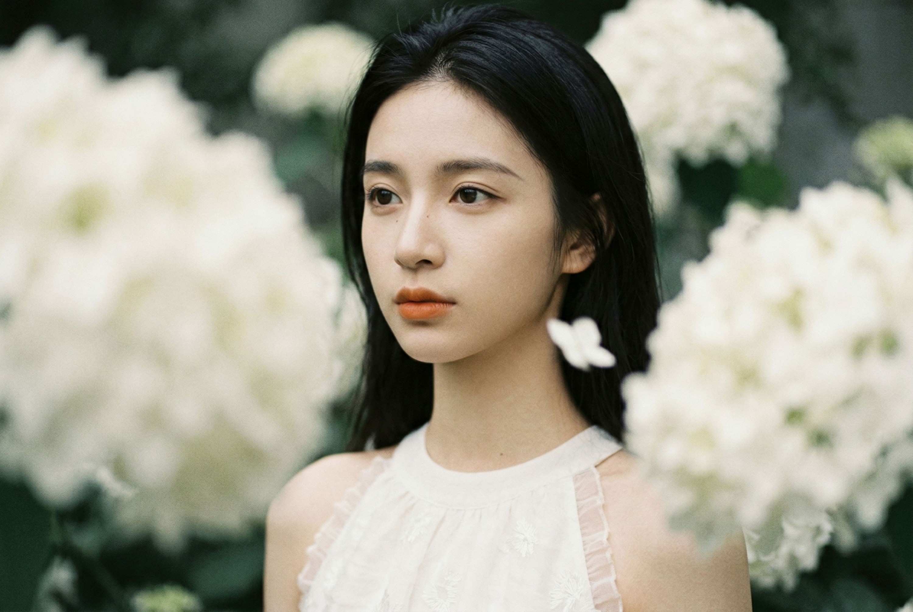 《白絮春深》[12P]